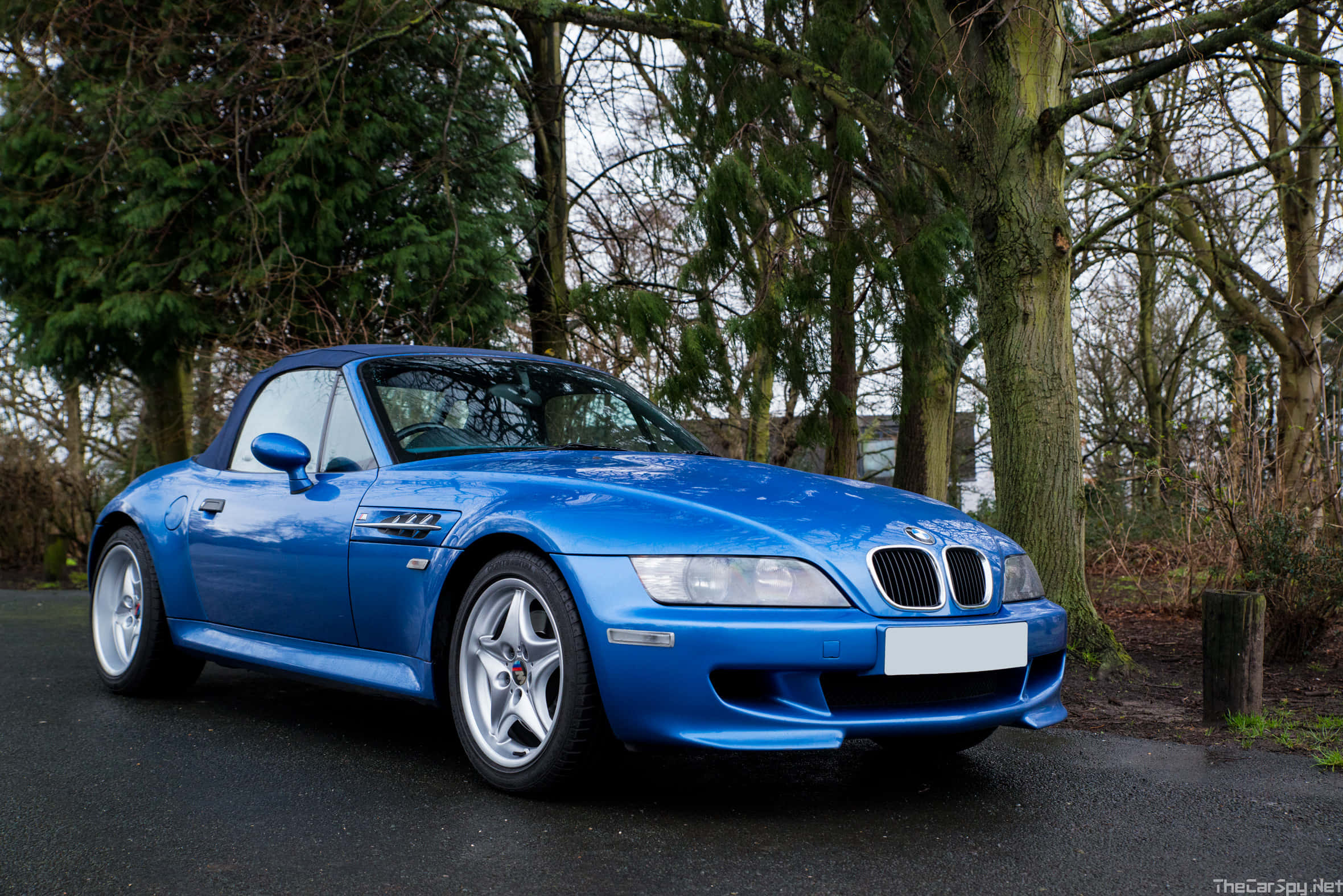 Bmw Z3 桌布 壁紙 — 一架充滿活力的藍色BMW Z8跑車停泊在潮濕的瀝青路上，周圍是樹林地區的無葉樹木。