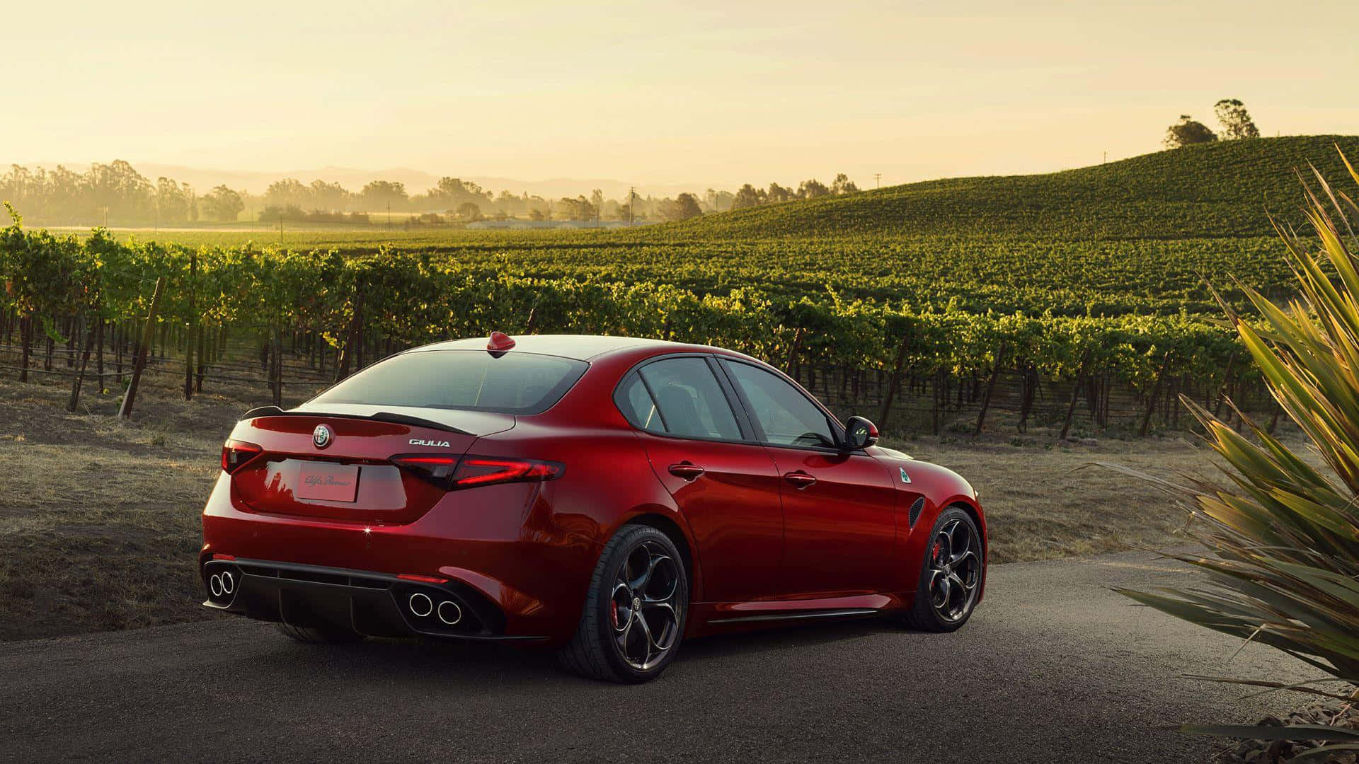 Alfa Romeo Giulia 桌布 壁紙 — 一架光面紅色Alfa Romeo Giulia運動型轎車停泊在日落時分陽光普照的葡萄園蜿蜒道路上。