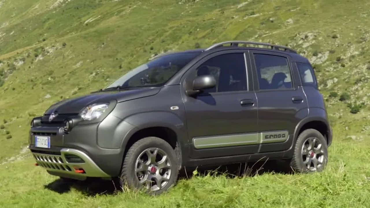 Fiat Panda 桌布 壁紙 — 一架啞光灰色 Fiat Panda Cross SUV 停泊喺陽光普照嘅草地山坡上，背景係岩石地形。