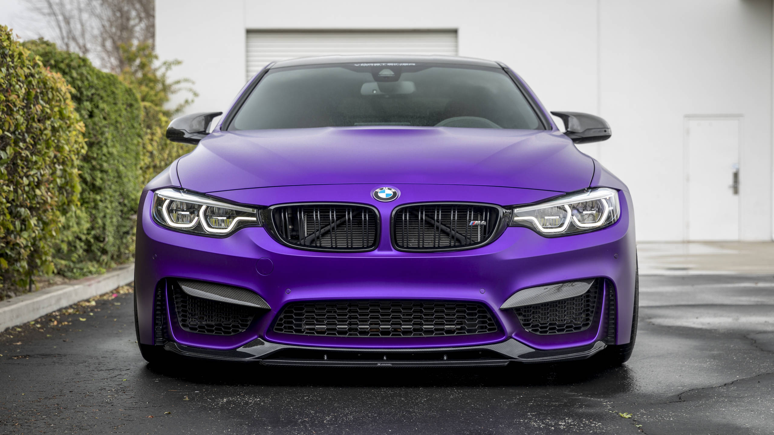 Violet 桌布 壁紙 — 一架啞光紫色寶馬M4雙門跑車停泊在濕漉漉的路面上，背景有綠色樹籬和白色建築物。