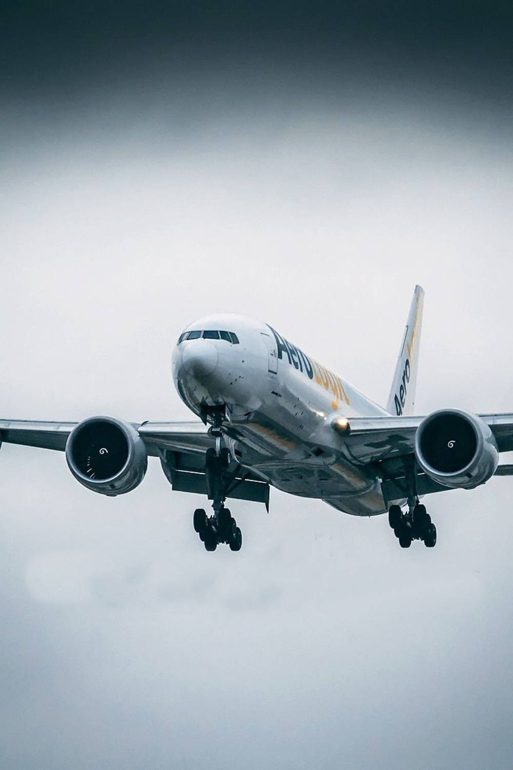 飛機 桌布 壁紙 — 一架大型商用飛機穿過多雲的灰色天空下降，起落架已放下。
