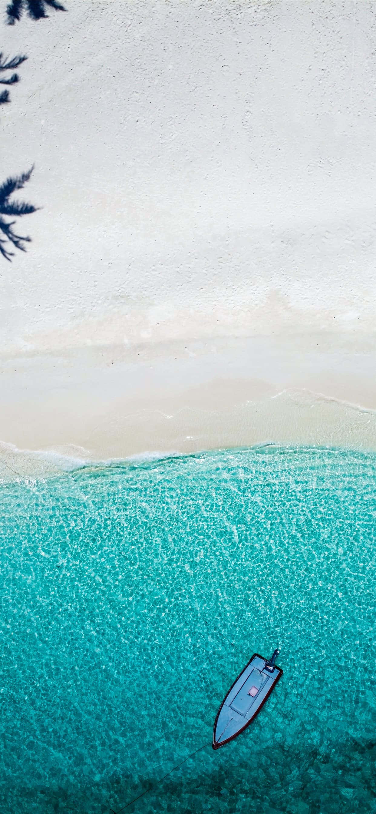 Beach Photography 桌布 壁紙 — 一架孤舟漂浮在碧綠海水上，旁邊是純淨白沙灘，棕櫚葉在頭頂搖曳的鳥瞰圖。