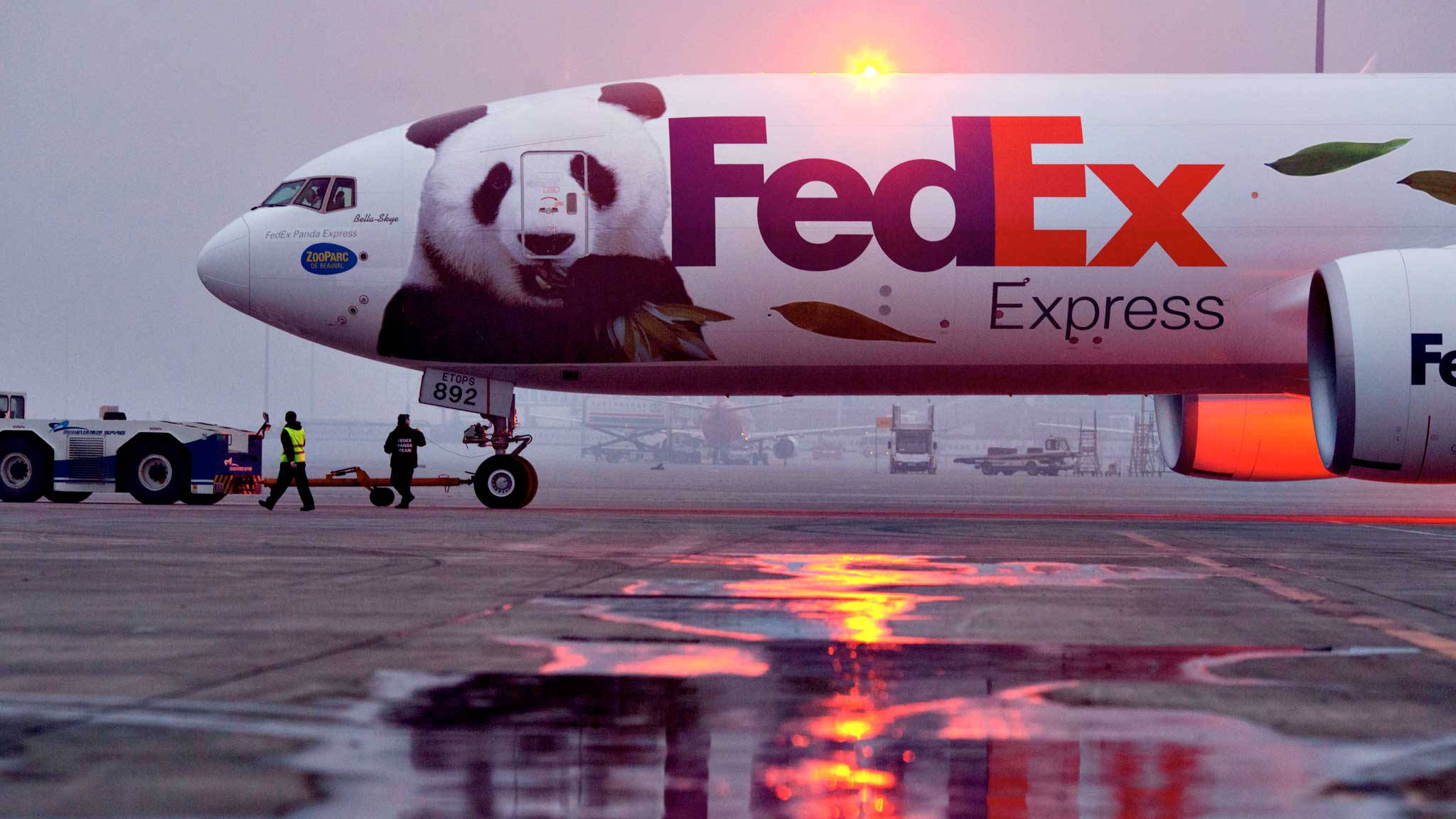 FedEx Panda Express MD-11F 壁紙 — 一架帶有巨型熊貓塗裝的FedEx Express飛機在黃昏時停在濕滑的停機坪上，地勤人員正在推動它，反光的水坑映照著發光的燈光。