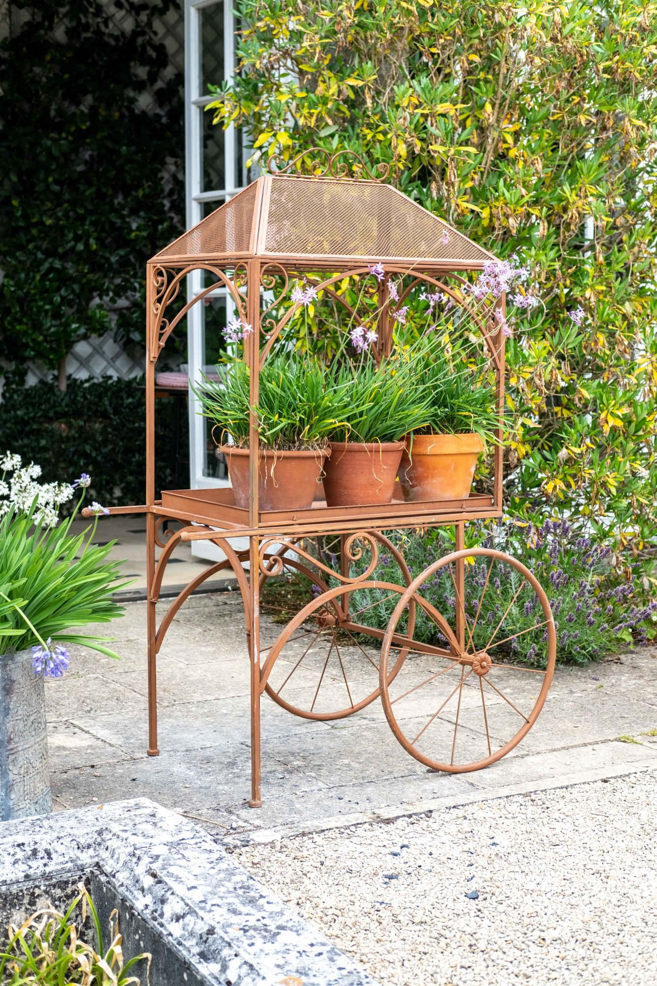 Flower Cart 桌布 壁紙 — 一架復古生鏽的金屬花園手推車，上面放著三個陶盆，種有綠色植物和紫色花朵，停在石頭庭院上，旁邊是茂密的樹葉。