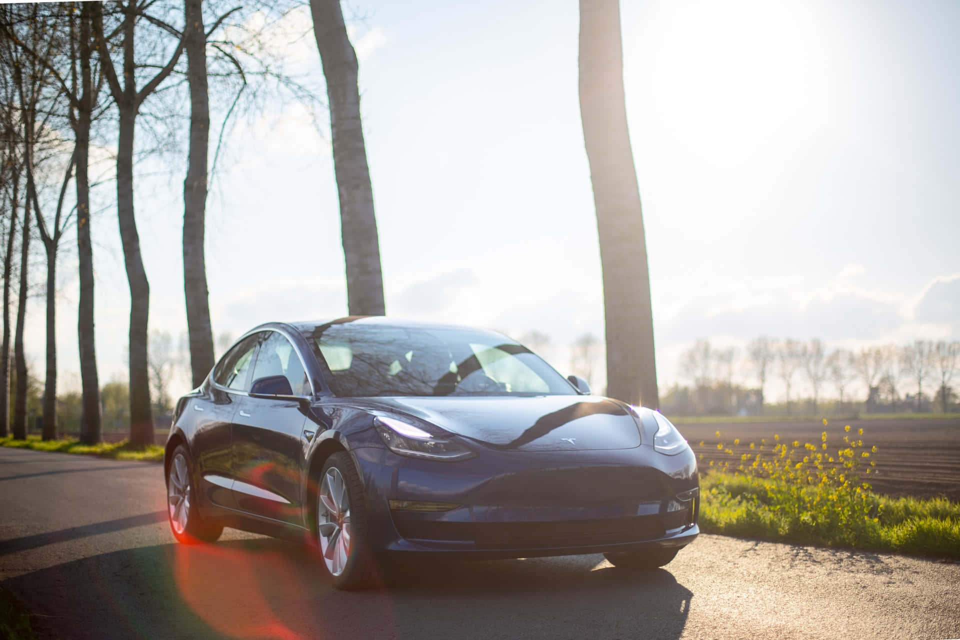 tesla 桌布 壁紙 — 一架時尚深藍色Tesla Model 3停泊在林蔭大道上，金色陽光形成鏡頭光暈和長長的影子。