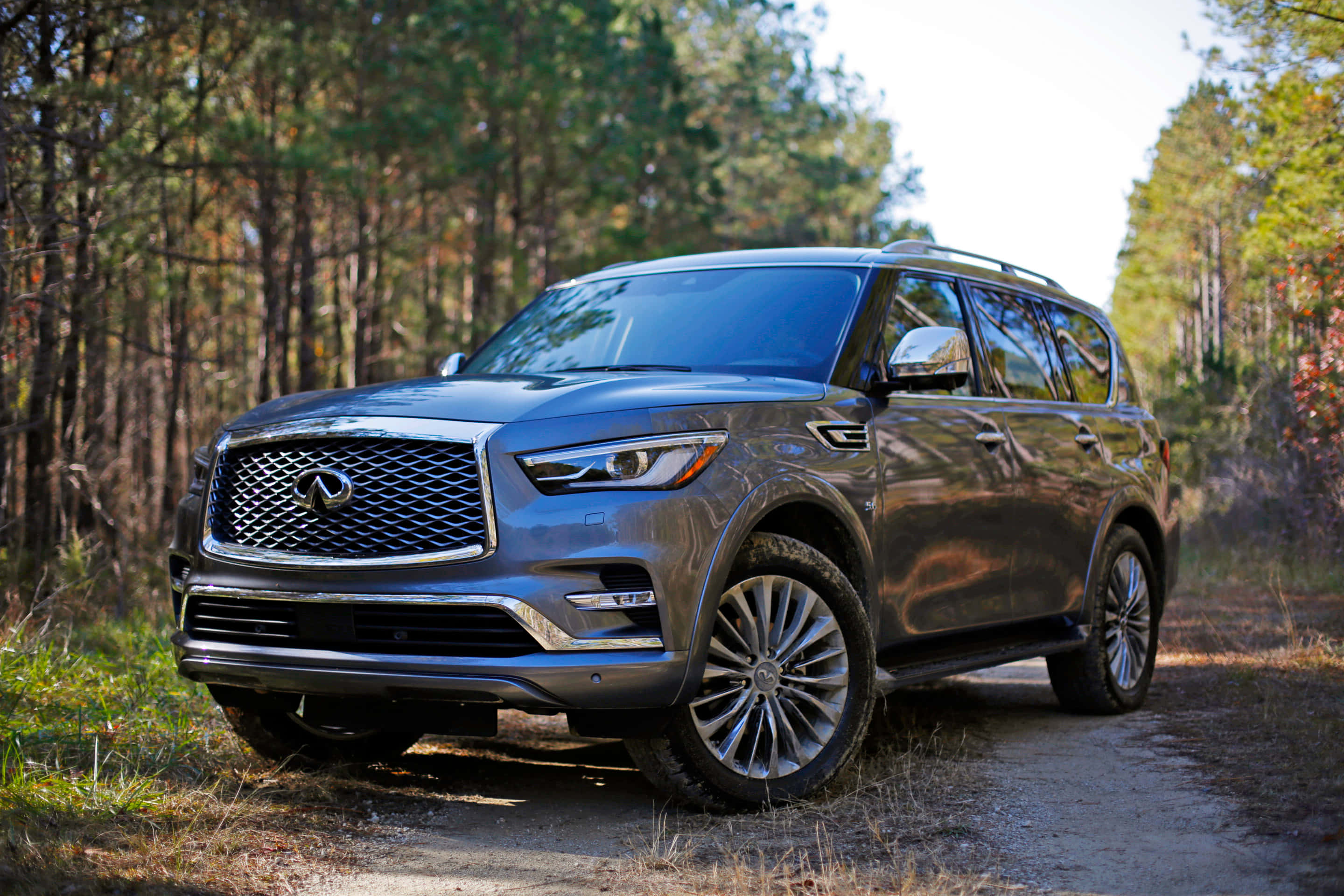 Infiniti Qx80 桌布 壁紙 — 一架時尚灰色 Infiniti QX80 SUV 停泊在森林泥路上，周圍環繞著高大的樹木。