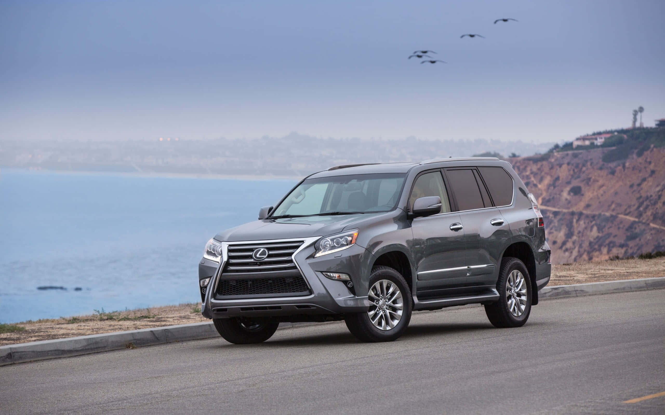 Lexus Gx 460 桌布 壁紙 — 一架時尚的灰色Lexus SUV沿著海岸道路行駛，欣賞海景，頭頂有鳥兒飛過。