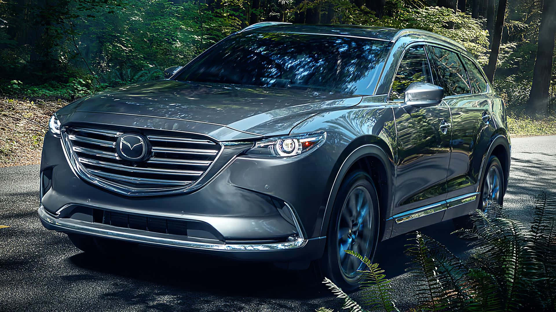 Mazda Cx-9 桌布 壁紙 — 一架時尚的灰色Mazda CX-9 SUV停泊在森林道路上，斑駁的陽光穿過樹木灑落。