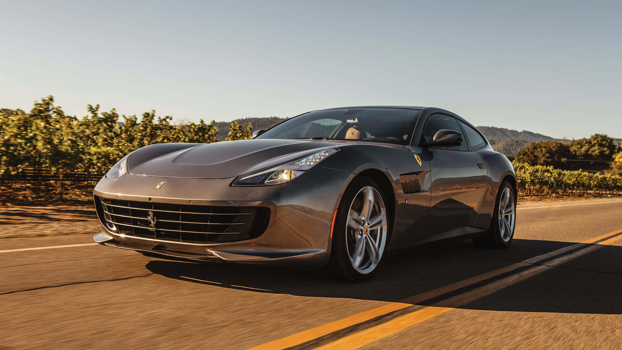 Ferrari Gtc4lusso 桌布 壁紙 — 一架時尚的灰色法拉利在陽光明媚的道路上行駛，兩旁是茂密的綠色葡萄園，頭頂是清澈的藍天。
