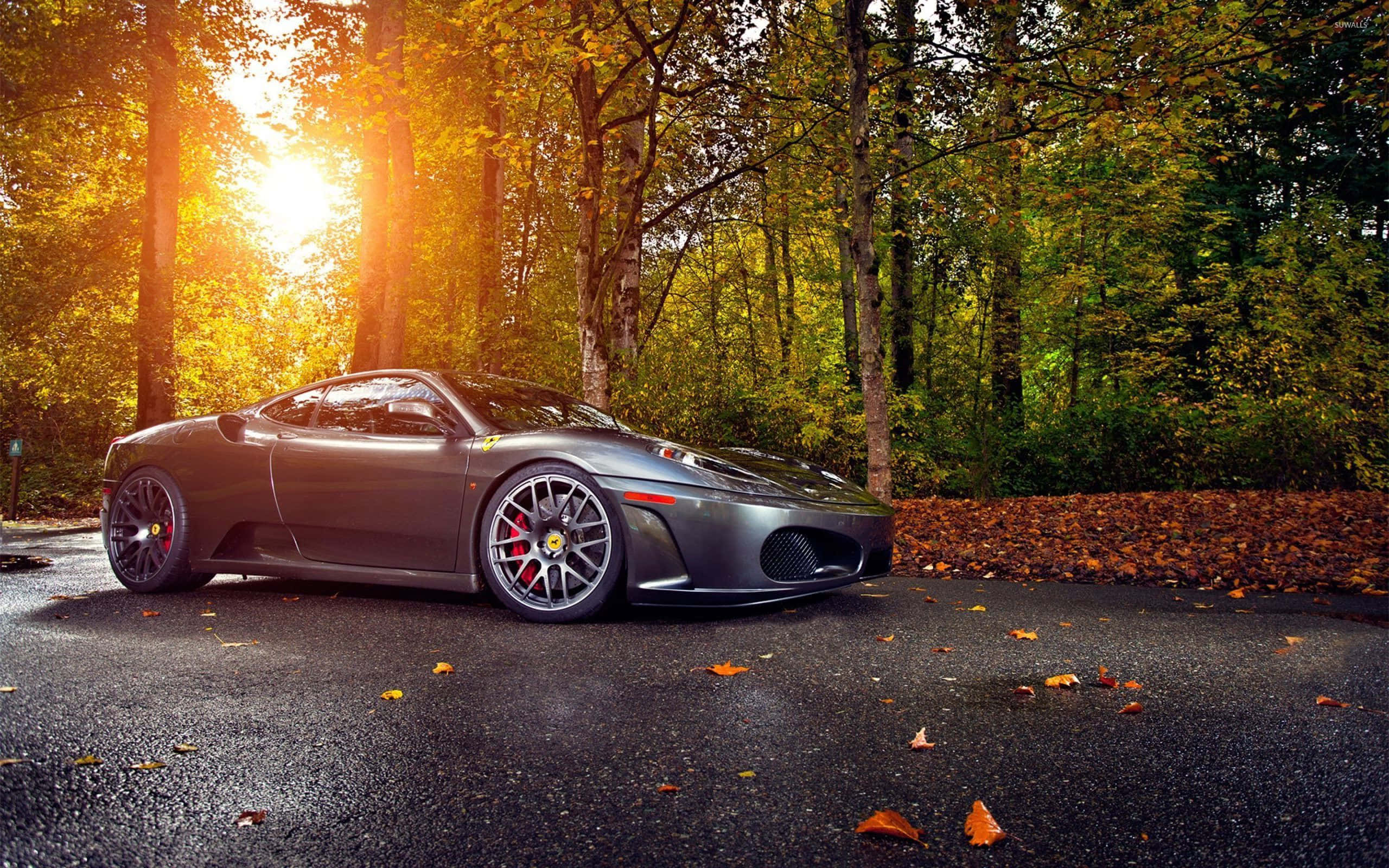 Ferrari F430 桌布 壁紙 — 一架時尚的灰色法拉利跑車停在濕漉漉的森林道路上，金色陽光穿過秋天的樹木灑落。