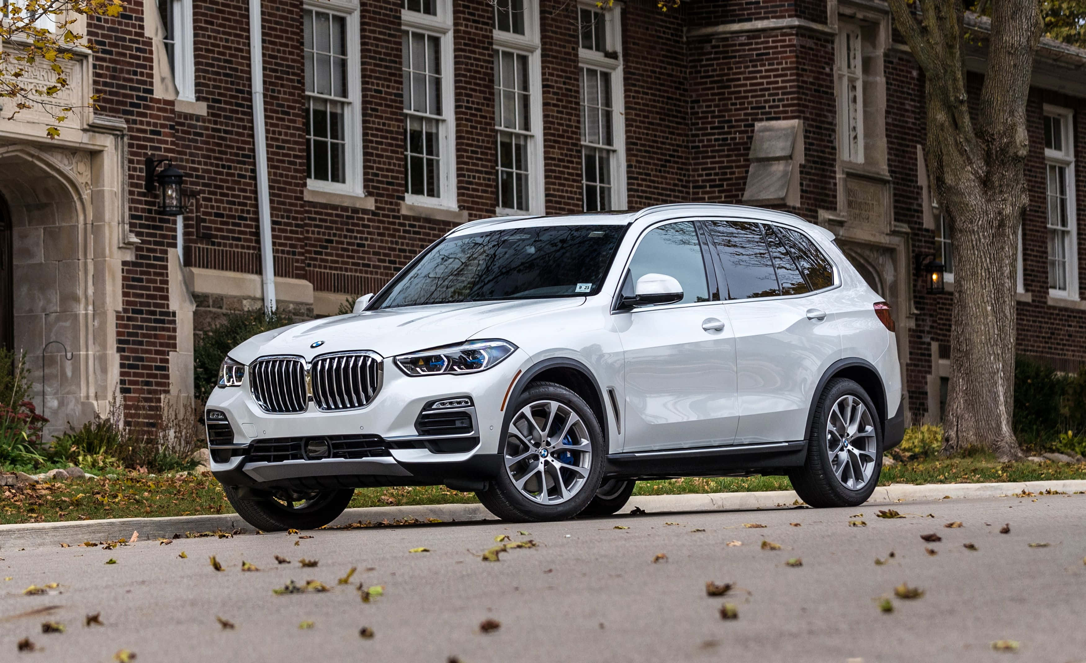Bmw X5 桌布 壁紙 — 一架時尚的白色BMW X5 SUV停泊在落葉滿佈的街道上，前面是一座經典的磚砌建築。
