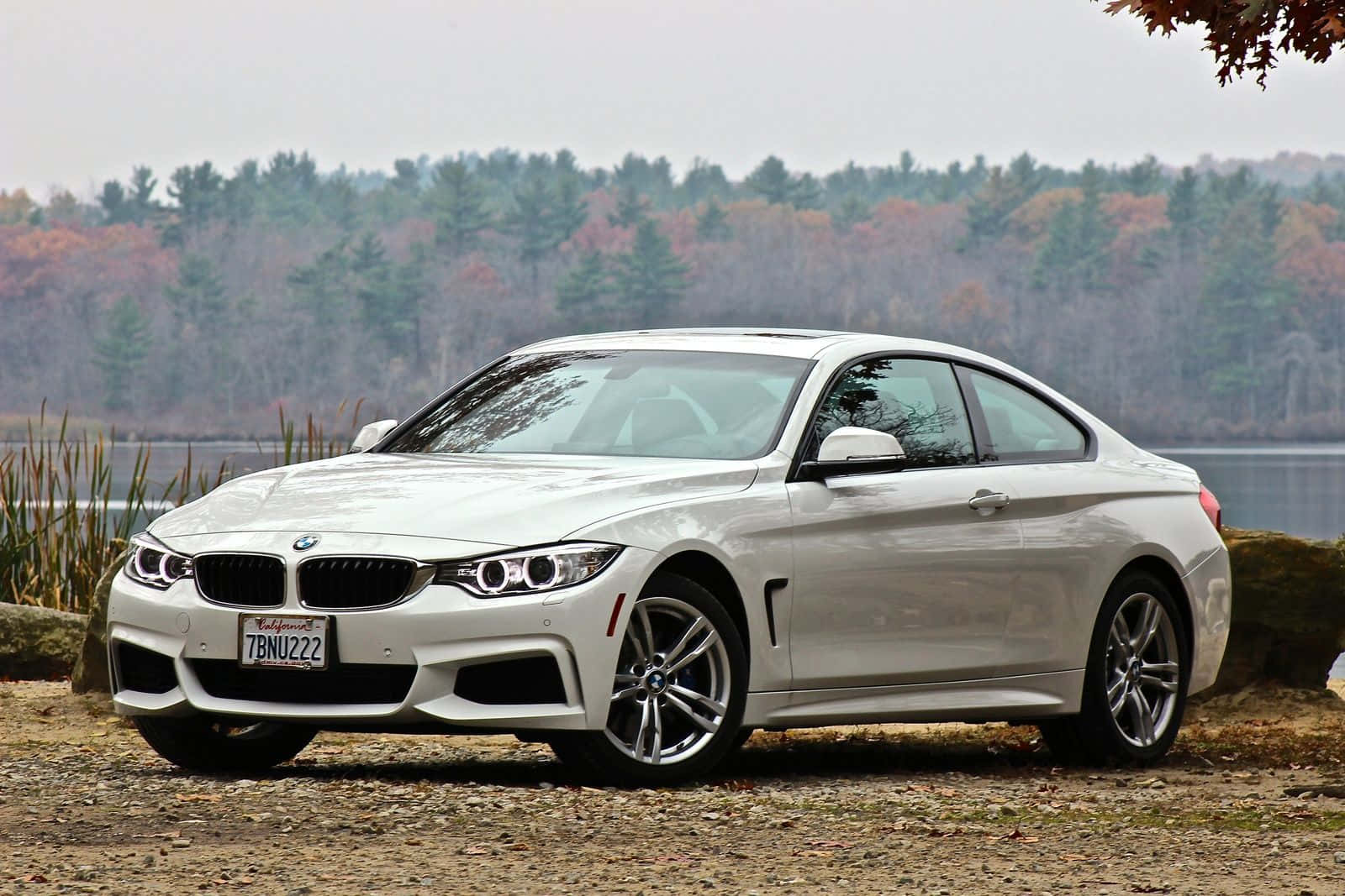 Bmw 4 Series 桌布 壁紙 — 一架時尚的白色BMW雙門轎跑車停在湖邊的碎石上，背景是秋日森林。