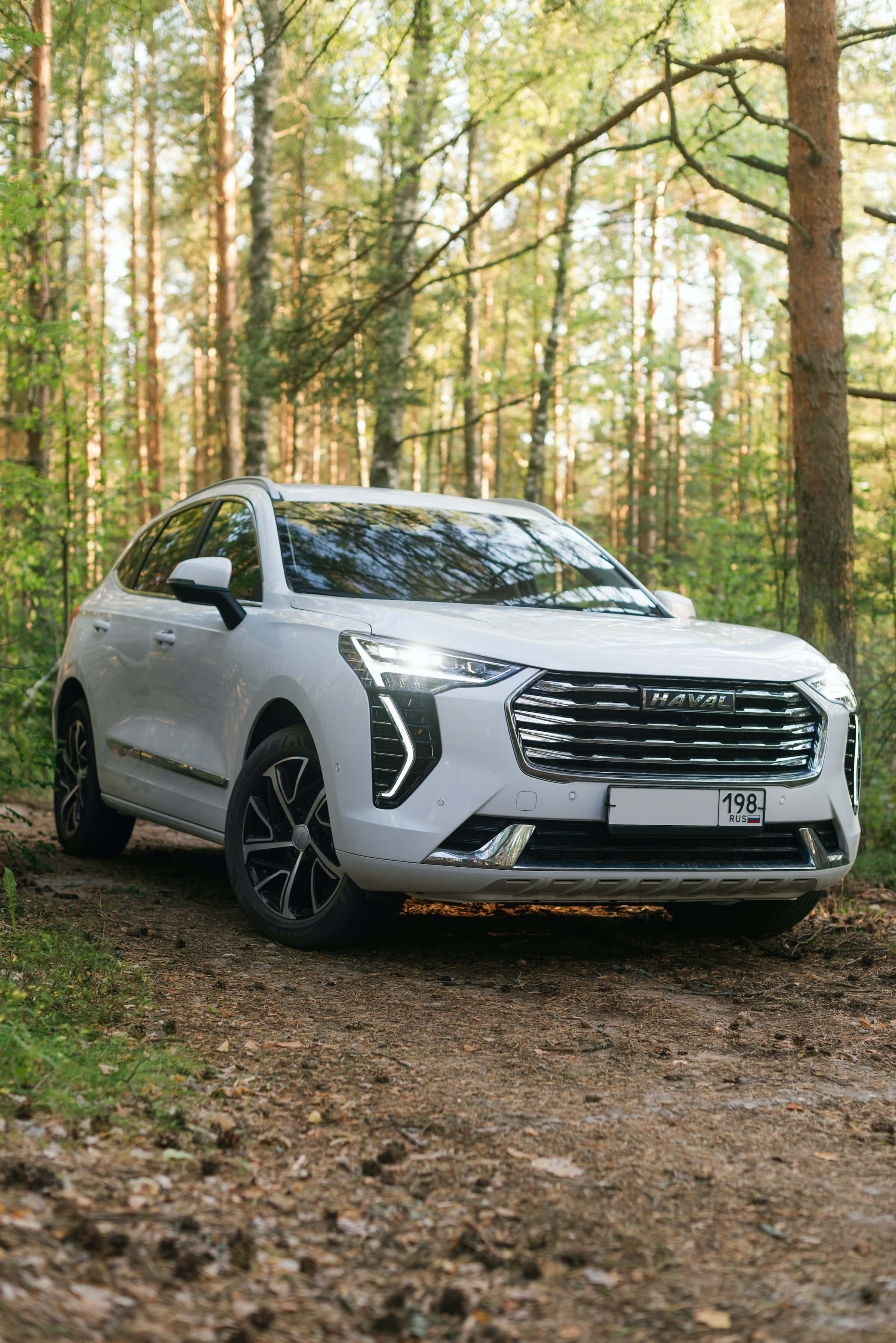 Haval 桌布 壁紙 — 一架時尚的白色哈弗SUV停泊在森林小徑上，周圍環繞著高大的樹木，斑駁的陽光透過樹冠灑落。