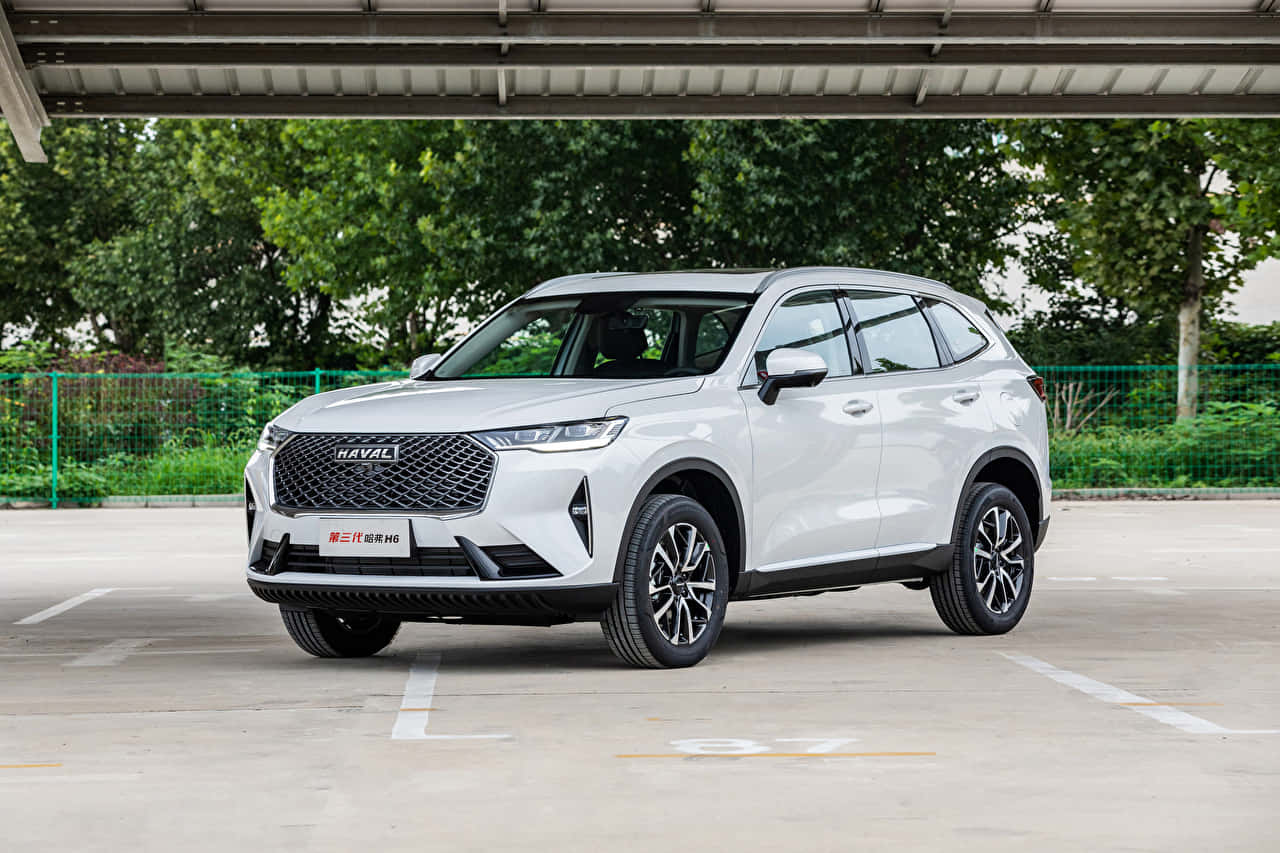 Haval 桌布 壁紙 — 一架時尚的白色哈弗SUV停泊在金屬車棚下，背景有綠樹。