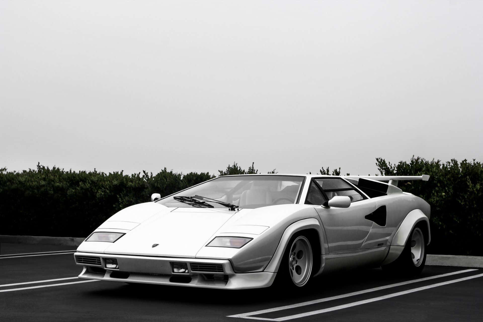 Lamborghini Countach 桌布 壁紙 — 一架時尚的白色林寶堅尼Countach停泊在停車場，周圍有深綠色樹籬，天空多雲。