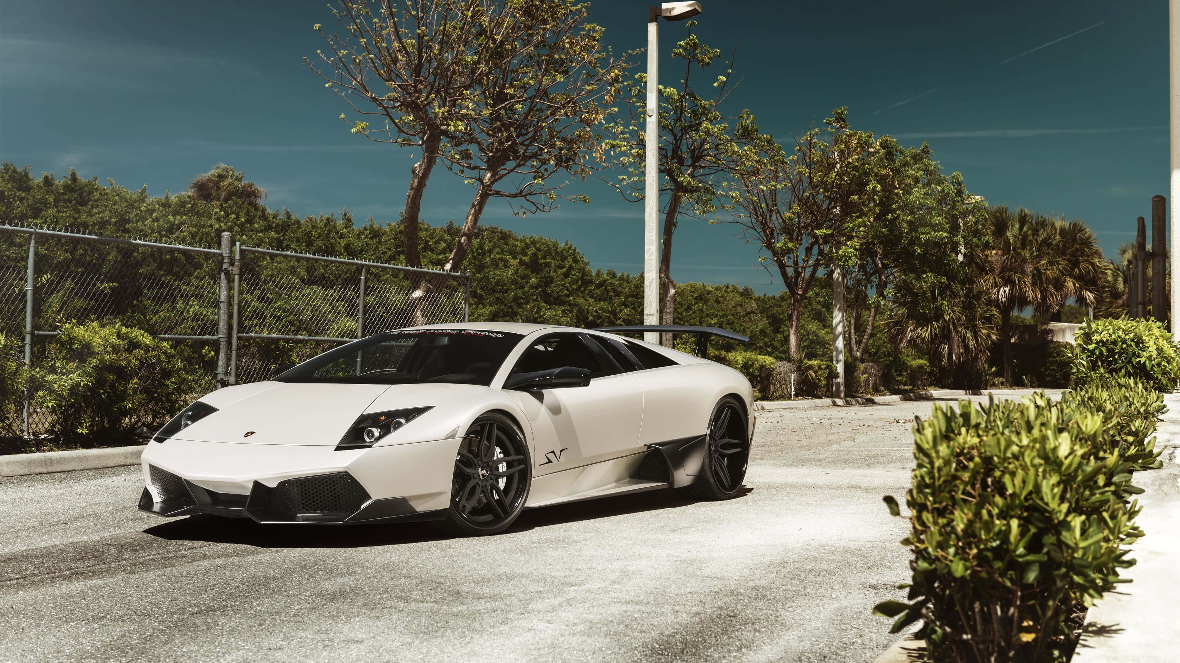 Lamborghini Murciélago 桌布 壁紙 — 一架時尚的白色林寶堅尼Reventon跑車停泊在陽光普照的瀝青停車場，周圍環繞著綠化和鐵絲網圍欄。