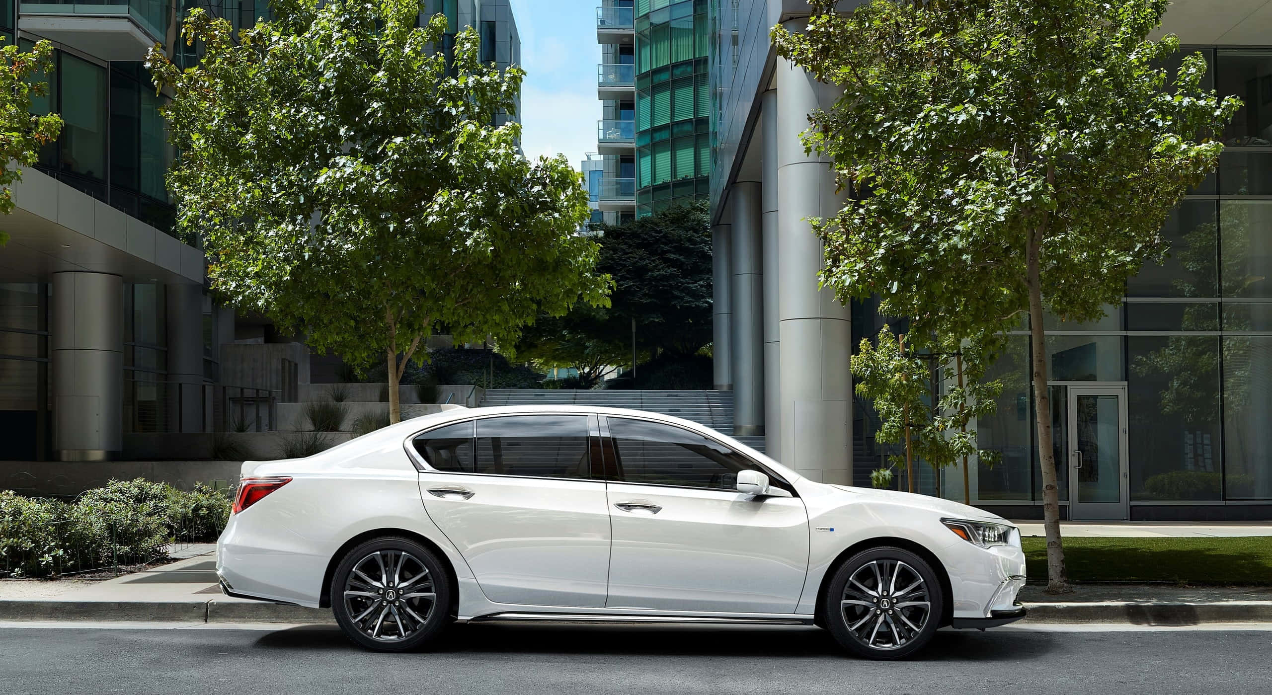 Acura Rlx 桌布 壁紙 — 一架時尚的白色轎車停泊在綠樹成蔭、現代玻璃建築林立的城市街道上，天空湛藍清澈。