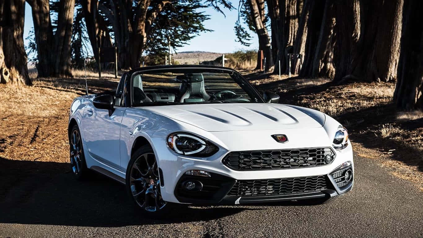 Fiat 124 Spider 桌布 壁紙 — 一架時尚的白色開篷跑車停泊在陽光普照的林蔭大道上。