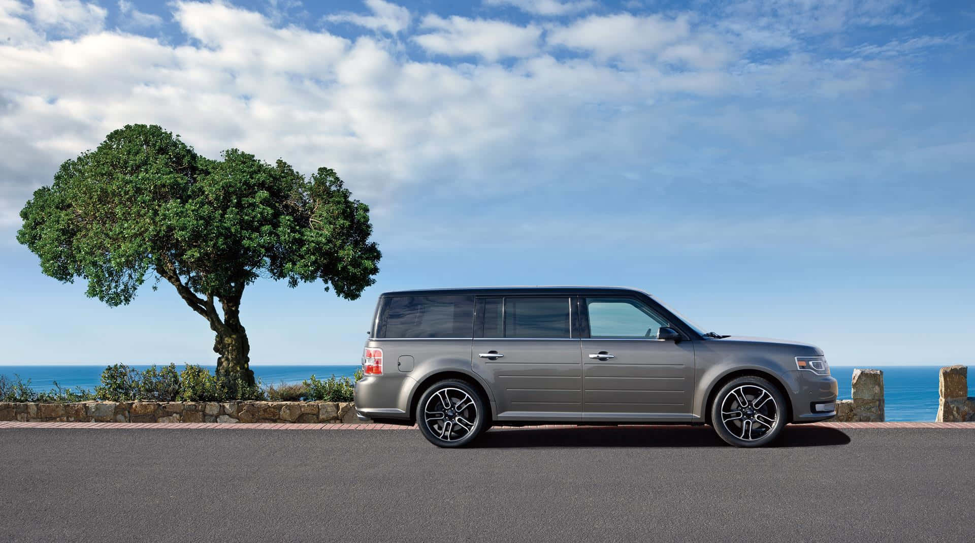 Ford Flex 桌布 壁紙 — 一架時尚的銀色SUV停泊在沿海公路上，旁邊有一棵孤樹，背景是海洋和藍天。