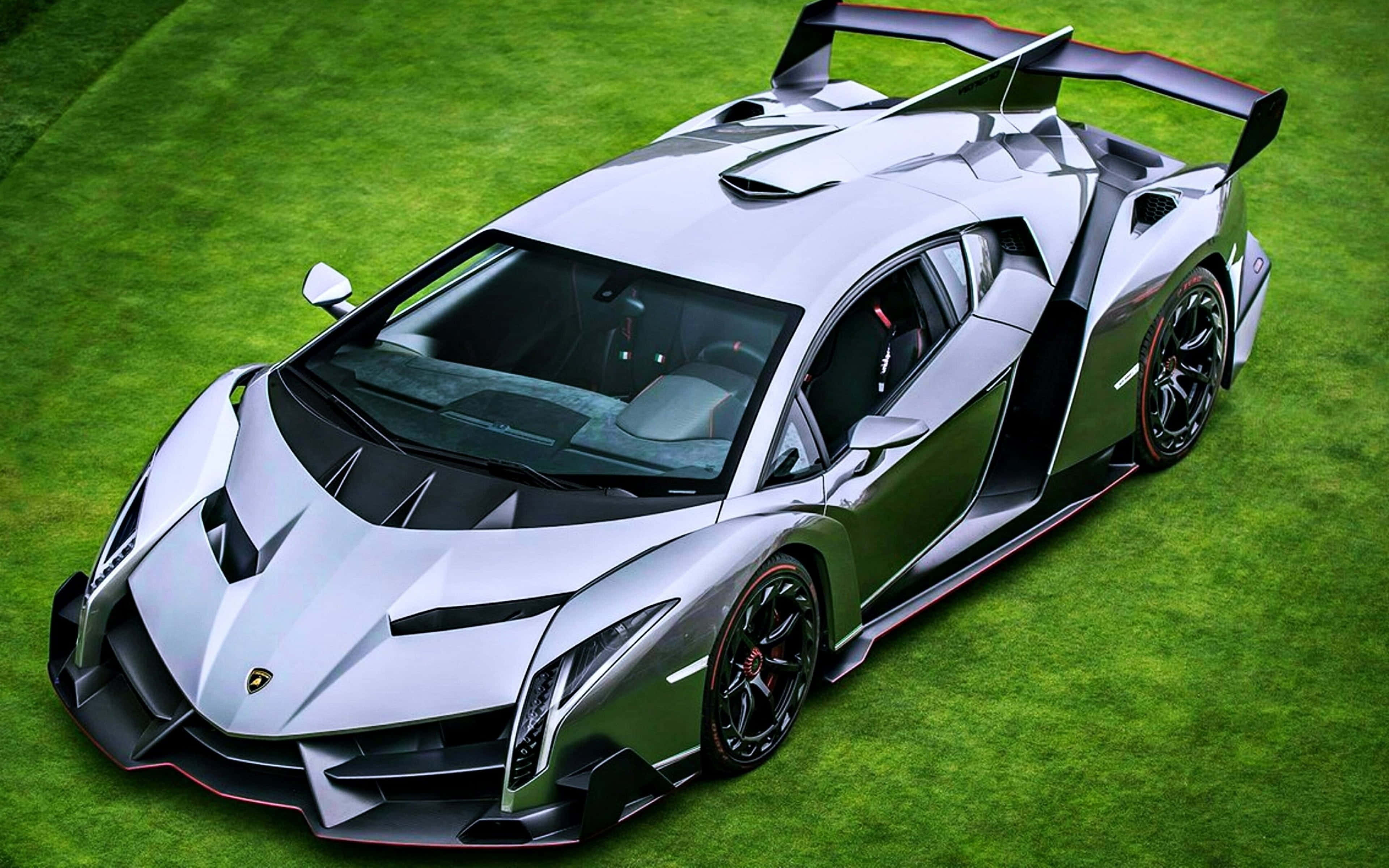 Sports Car 桌布 壁紙 — 一架時尚的銀色林寶堅尼 Veneno 在明亮的日光下停放在充滿活力的綠色草地上，展示其進取的空氣動力學設計和黑色飾邊。