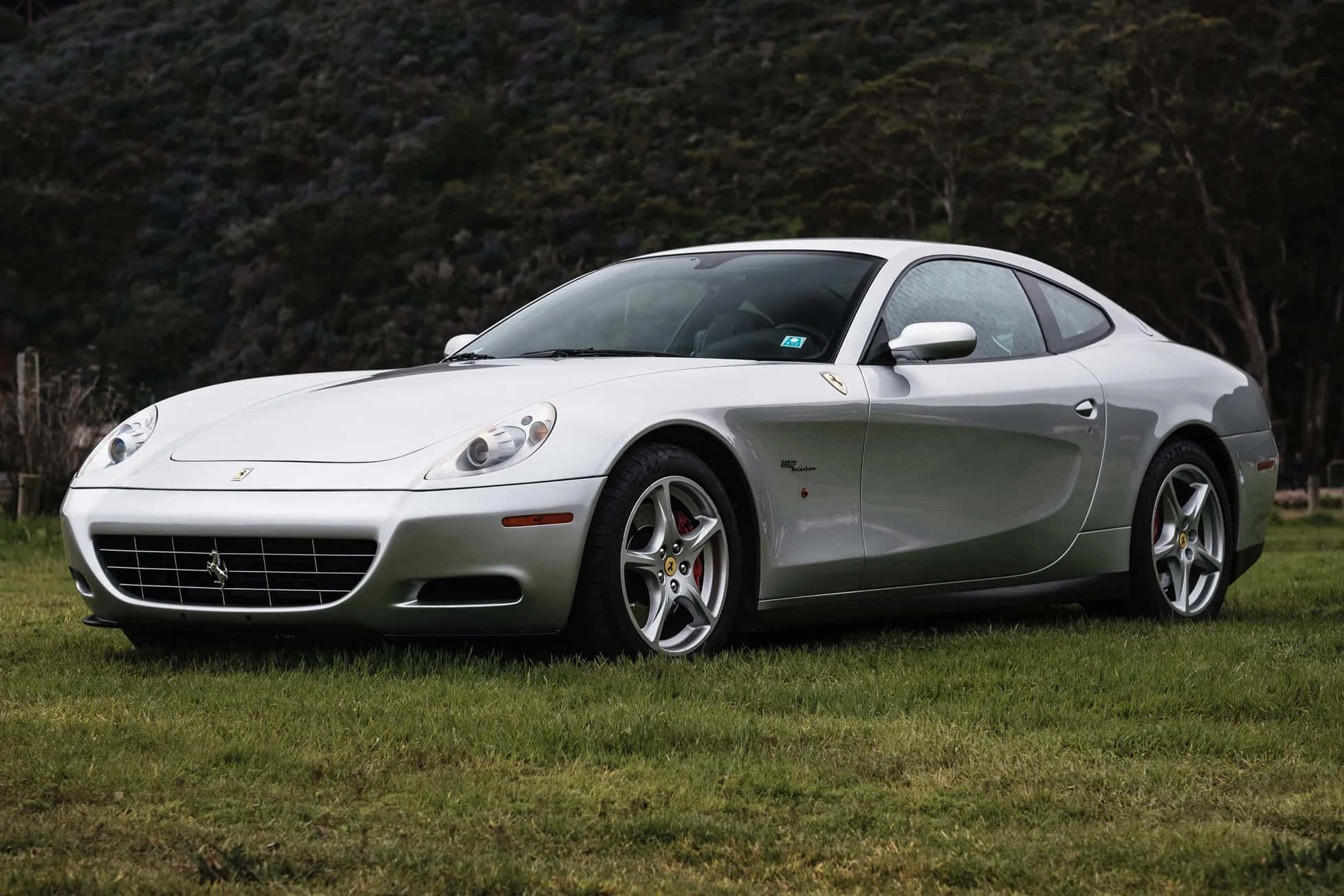 Ferrari 612 Scaglietti 桌布 壁紙 — 一架時尚的銀色法拉利跑車停泊在草地上，背景有樹木。