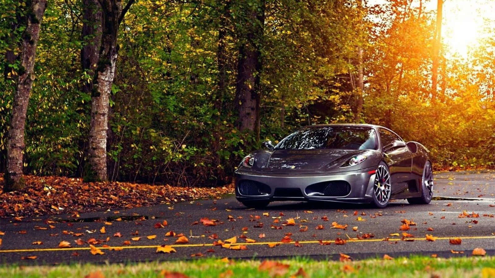 Ferrari F430 桌布 壁紙 — 一架時尚的銀色跑車停泊在鋪滿落葉的道路上，沐浴在穿過樹木的金色秋日陽光中。