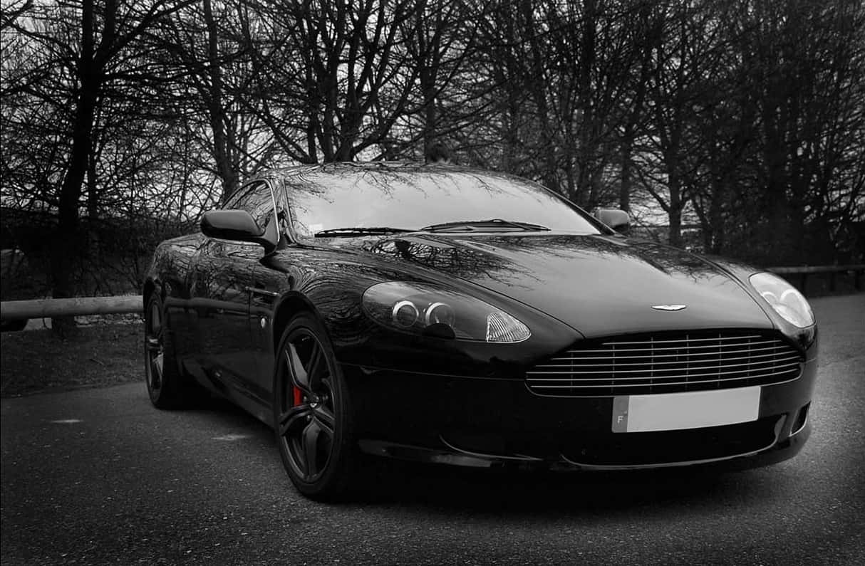 Aston Martin Db9 桌布 壁紙 — 一架時尚的黑色Aston Martin跑車停泊在有一排光禿樹木的道路上，單色場景中紅色制動卡鉗格外突出。