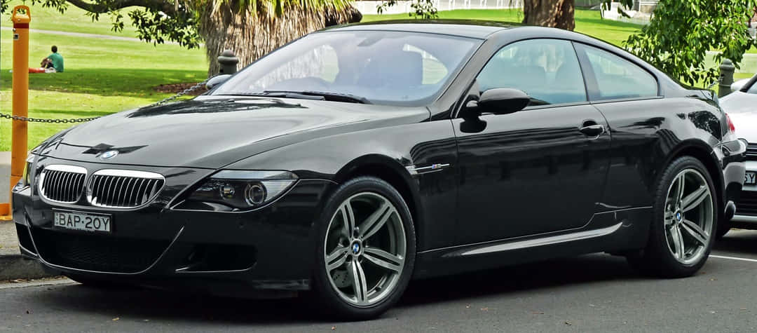 Bmw M6 桌布 壁紙 — 一架時尚的黑色BMW M6雙門跑車停泊在林蔭大道上，背景中有人坐在草地上。