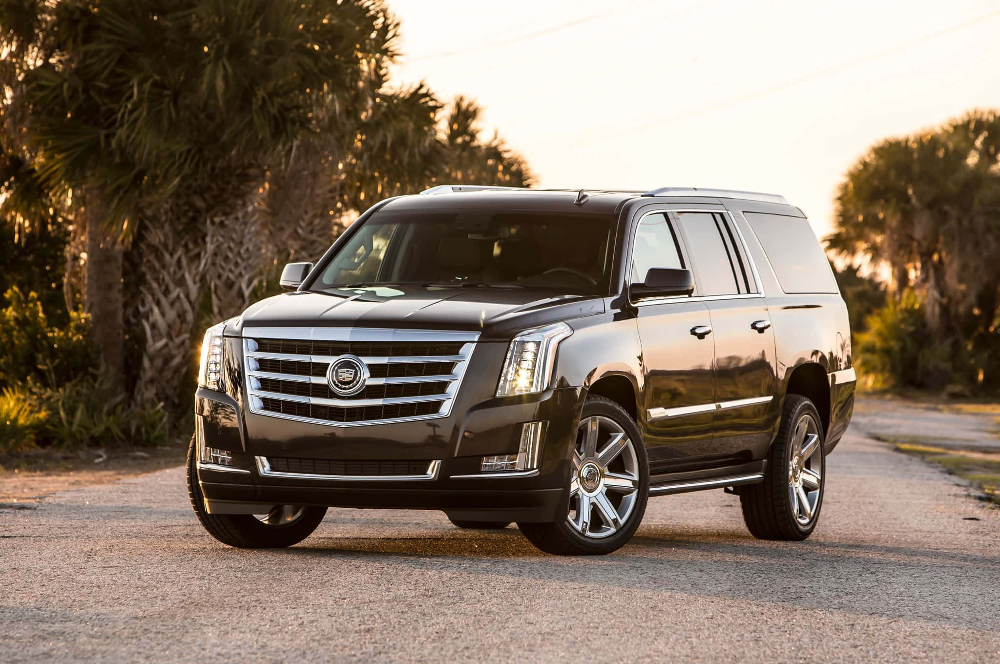Cadillac Escalade 桌布 壁紙 — 一架時尚的黑色凱迪拉克SUV在金色夕陽下閃耀，停泊在棕櫚樹成蔭的碎石路上。