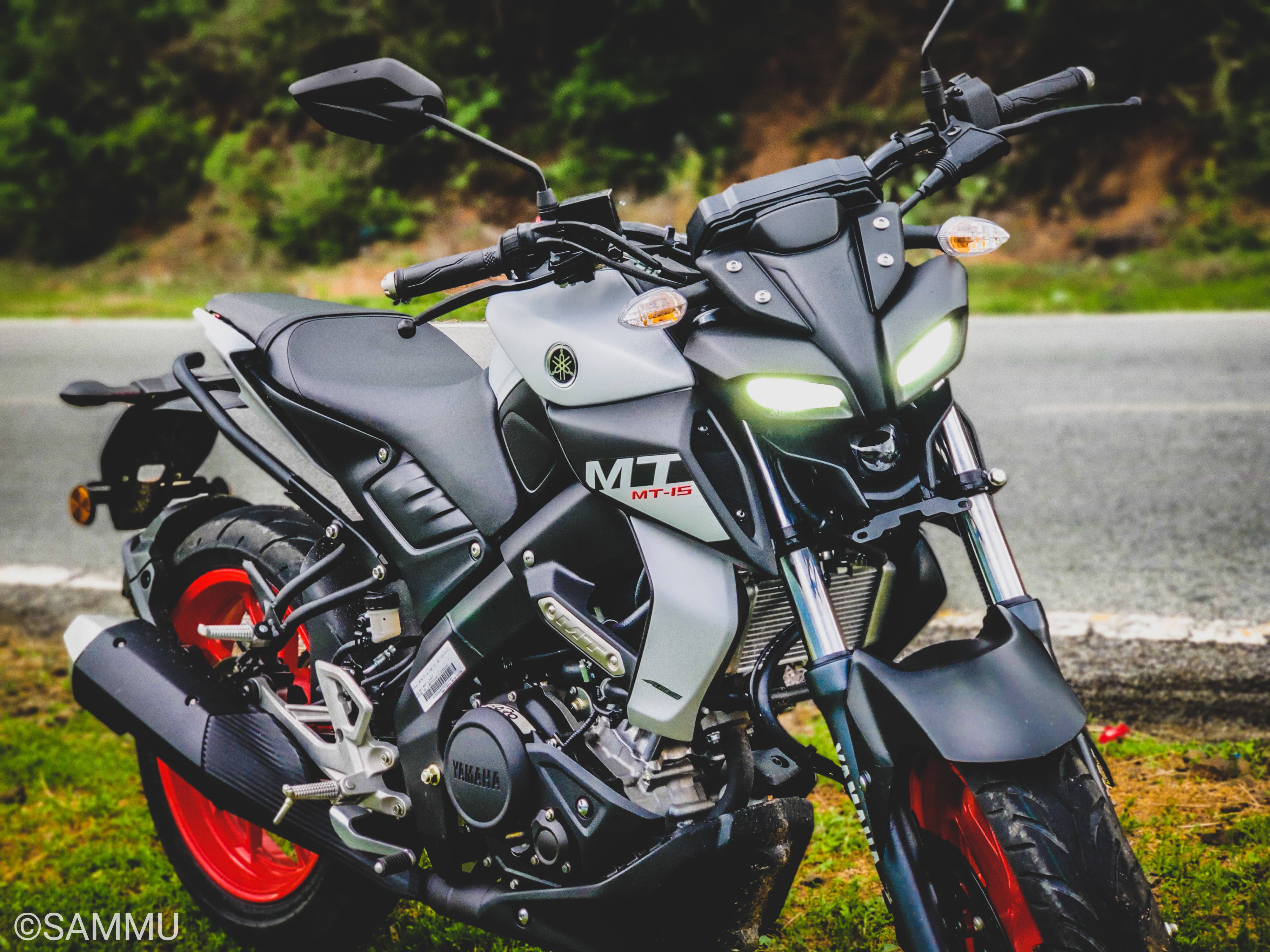 yamaha mt 15 桌布 壁紙 — 一架時尚的黑色和銀色Yamaha MT-15電單車，車頭燈發光，停泊在路邊，背景有綠草和樹木。