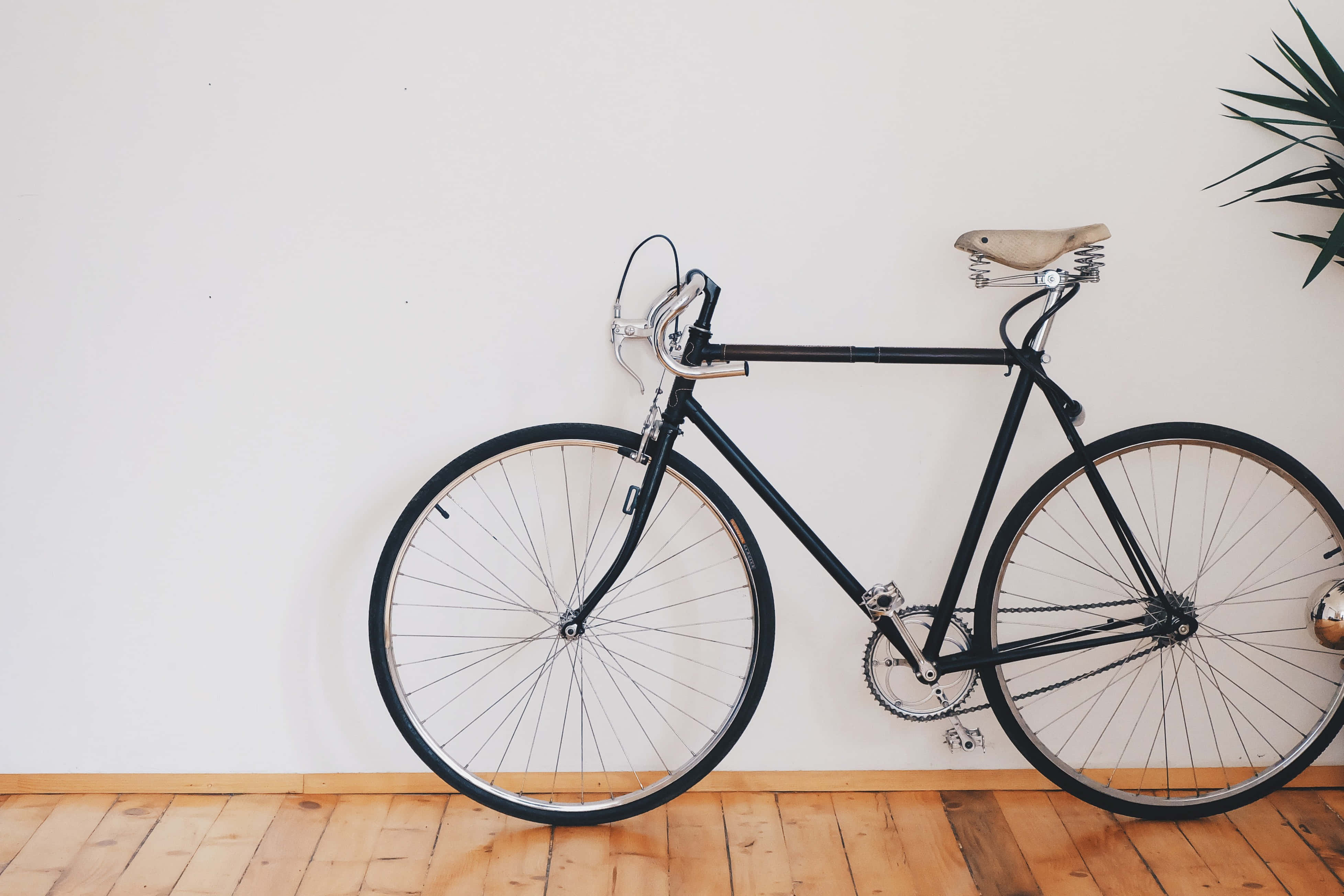 Bicycle 桌布 壁紙 — 一架時尚的黑色固定齒輪單車，配有棕褐色皮革座椅，靠著白色牆壁，放在木地板上，旁邊有一棵綠色植物。