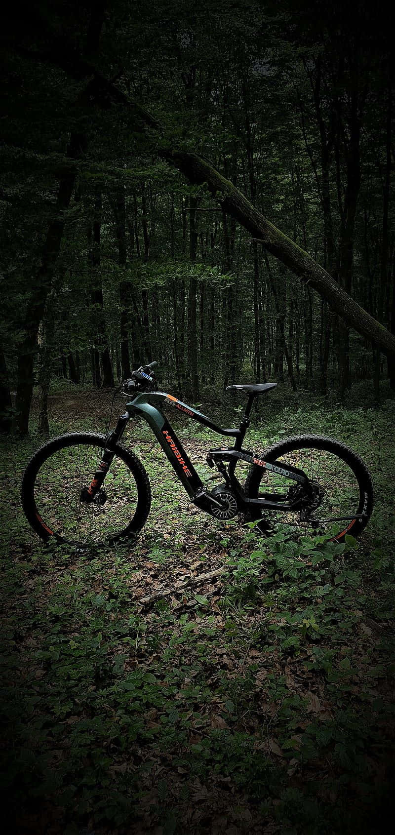 Electric Bike 桌布 壁紙 — 一架時尚的黑色山地自行車帶有橙色點綴，在黃昏時獨自矗立在茂密陰暗的森林中。