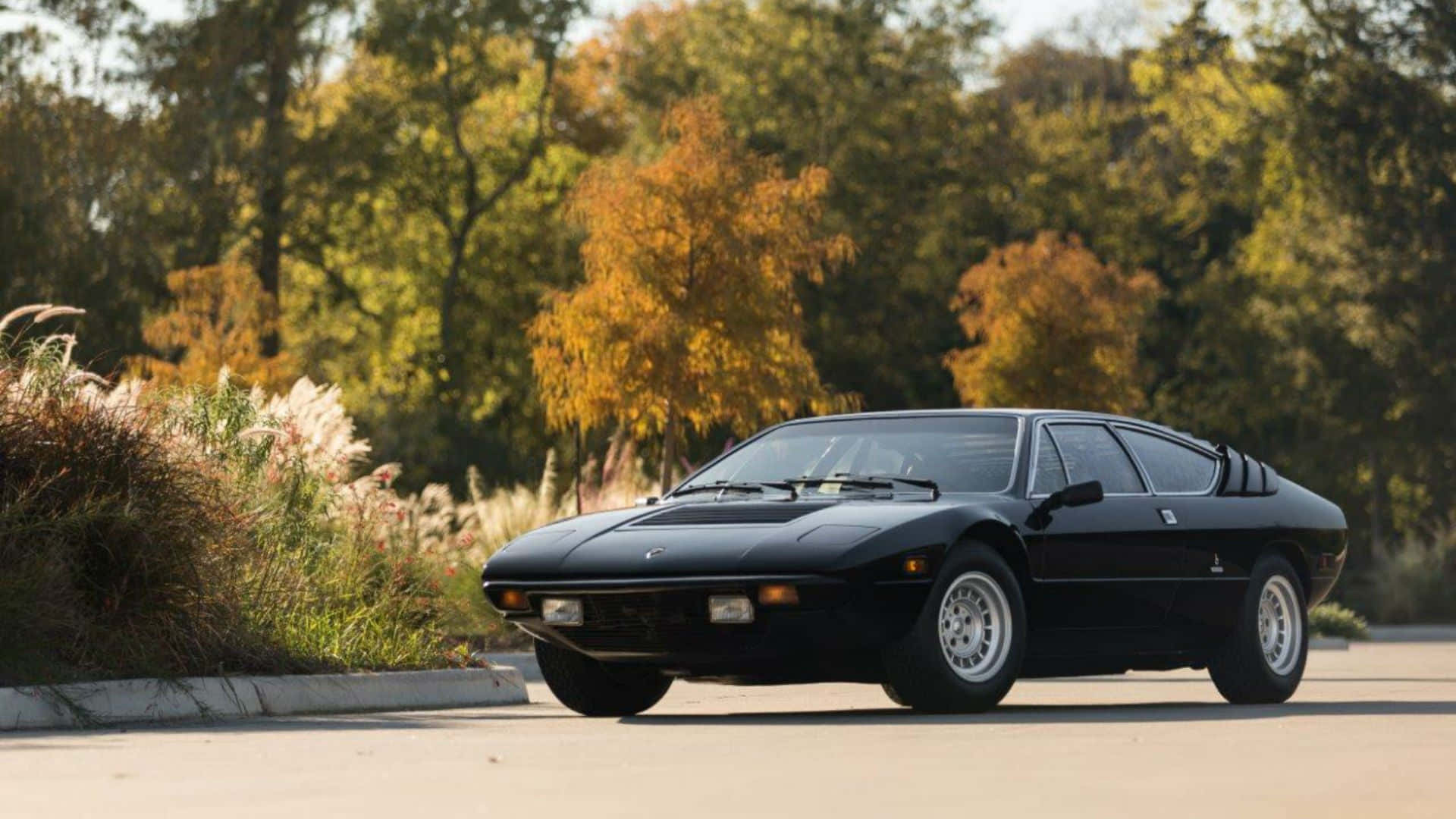 Lamborghini Urraco 桌布 壁紙 — 一架時尚的黑色經典跑車停泊在鋪砌的道路上，旁邊是秋天的樹葉和高高的草叢。