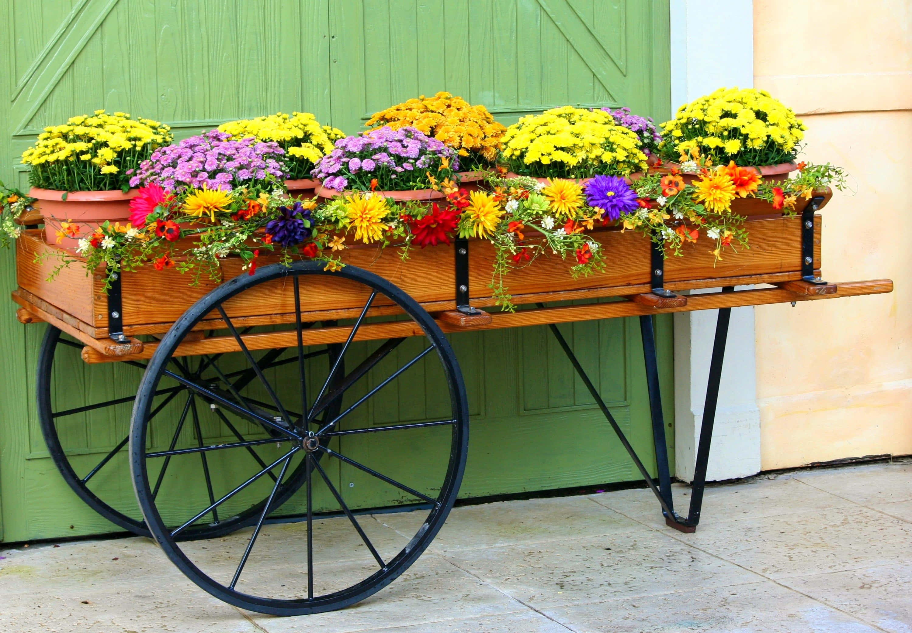 Flower Cart 桌布 壁紙 — 一架樸素的木製馬車，裝滿了鮮豔的黃色、紫色和紅色花朵，停在石頭庭院的綠色門前。
