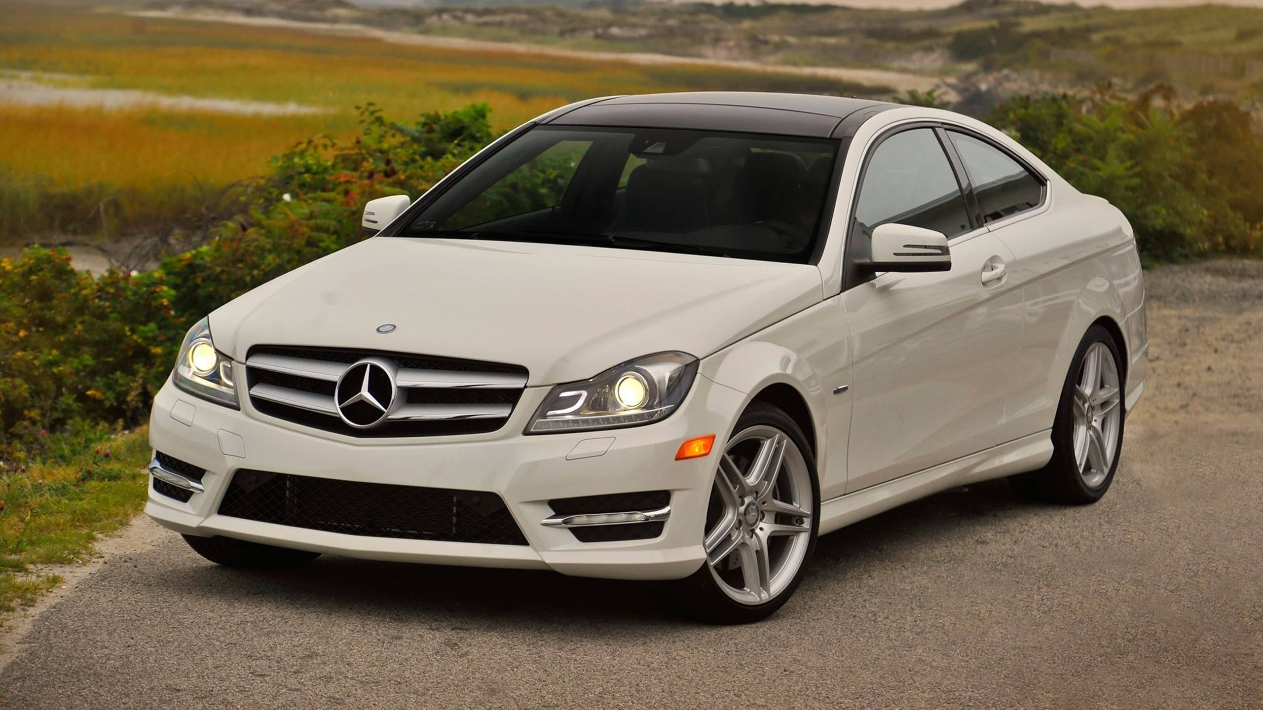 HD 桌布 壁紙 — 一架流線型白色 Mercedes-Benz 雙門轎跑車停泊在碎石路上，背景有金色草叢和灌木。