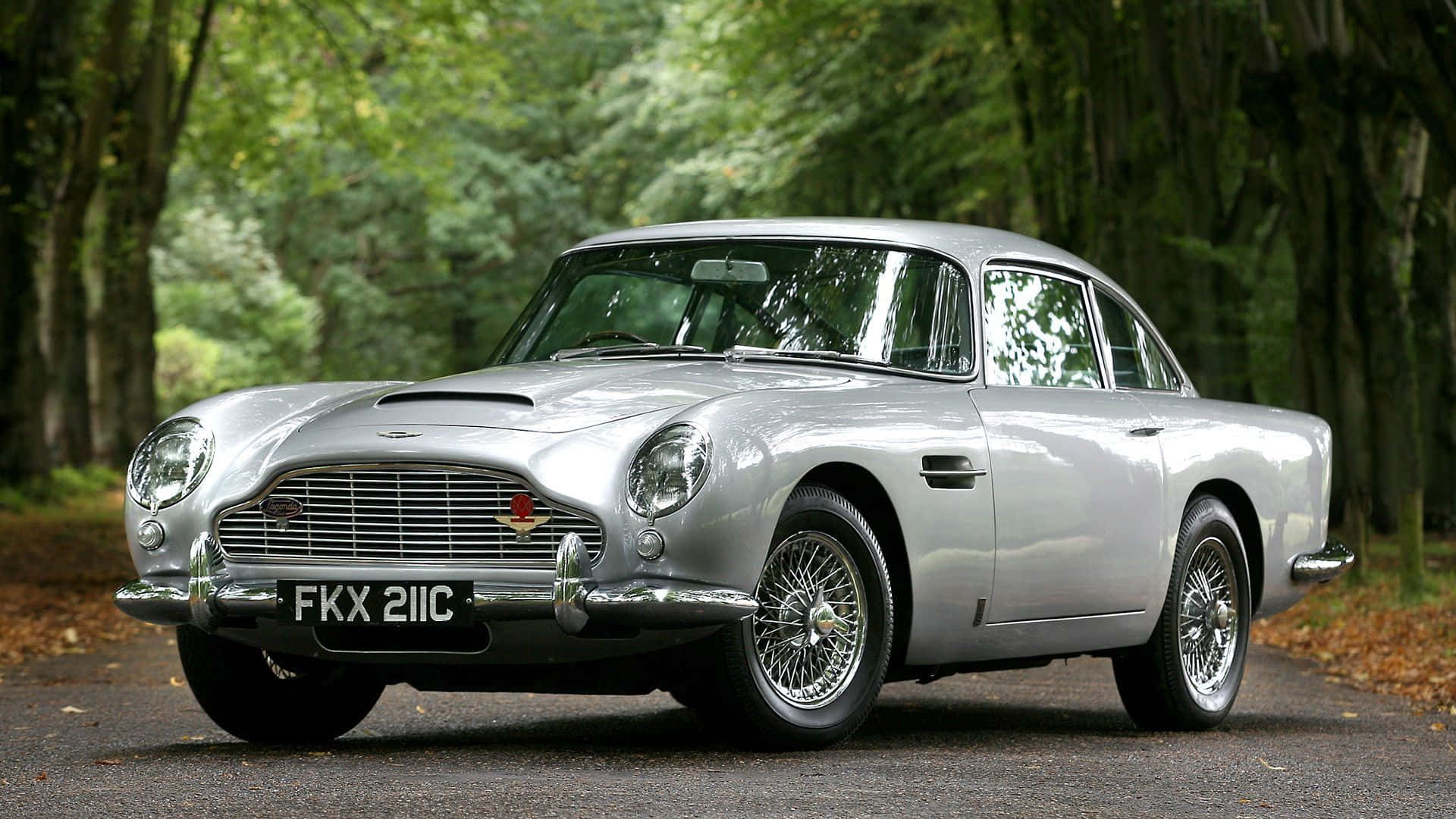 Aston Martin Db5 桌布 壁紙 — 一架流線型銀色Aston Martin DB5在自然光下閃閃發光，停泊在樹林環繞、滿地落葉的道路上。