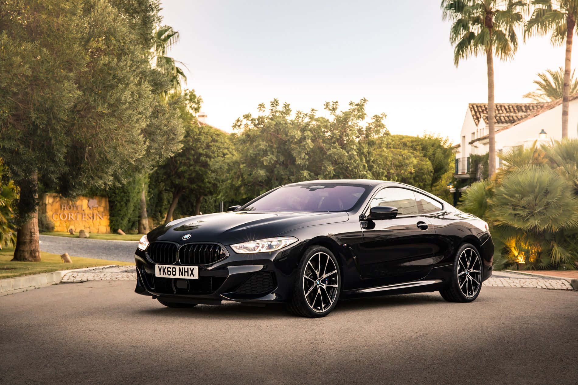 Bmw 8 Series 桌布 壁紙 — 一架流線型黑色BMW 8系轎跑車在樹木成蔭的住宅車道上，於黃金時段的光線下閃閃發光。