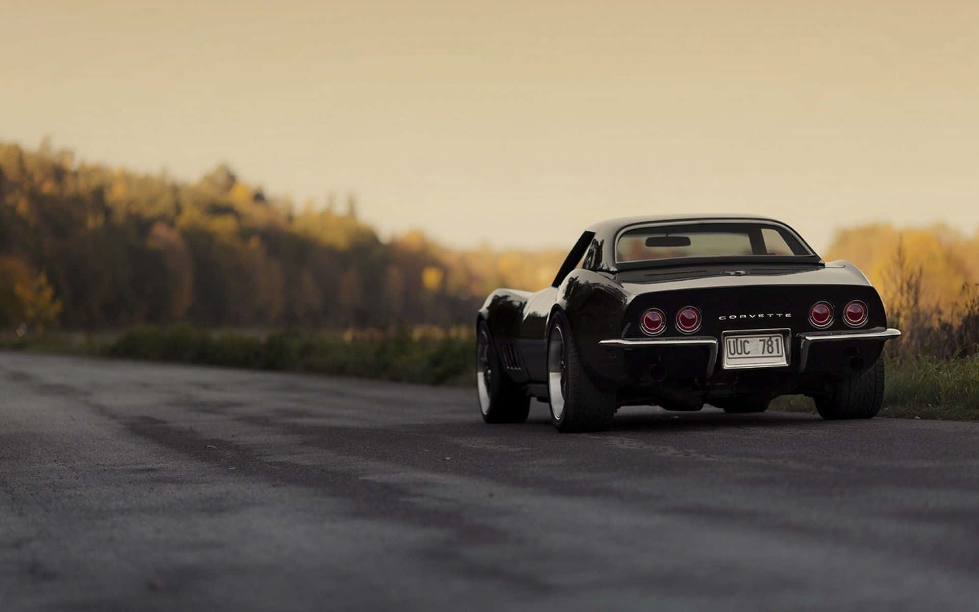 classic 桌布 壁紙 — 一架流線型黑色Corvette跑車在黃金時段沿著一條寧靜的瀝青路行駛，地平線上排列著秋天的樹木。