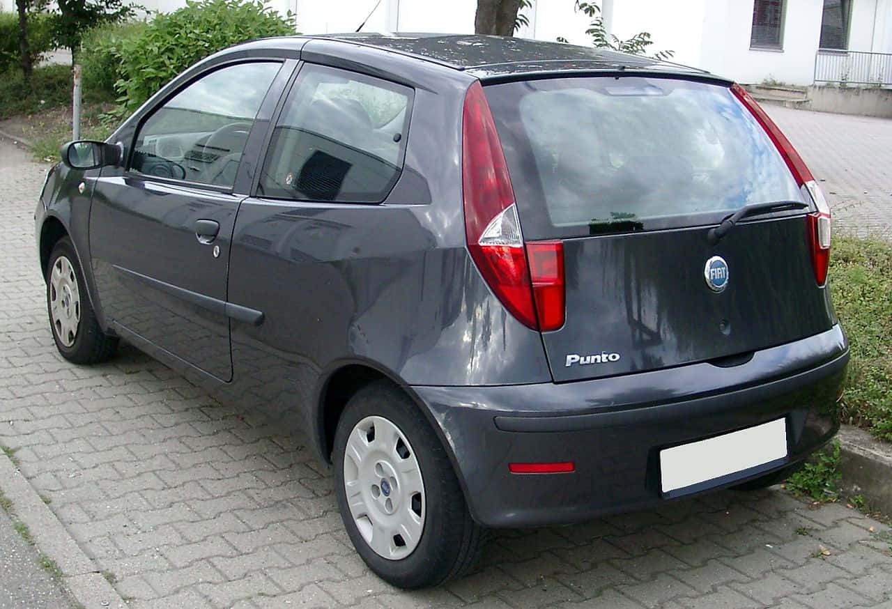 Fiat Punto 桌布 壁紙 — 一架深灰色嘅Fiat Punto掀背車停泊喺磚砌車道上，背景有綠色植物同白色建築物。