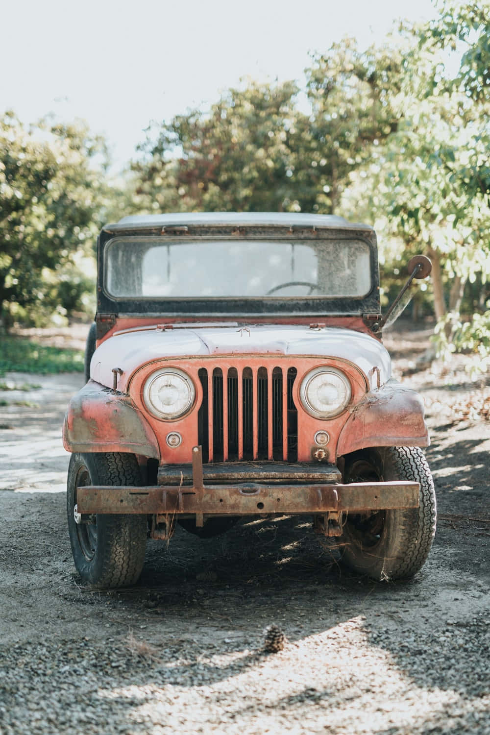 Jeep Cj 桌布 壁紙 — 一架生鏽的復古橙色吉普車被遺棄在碎石路上，周圍是茂密的綠樹，在明亮的日光下。