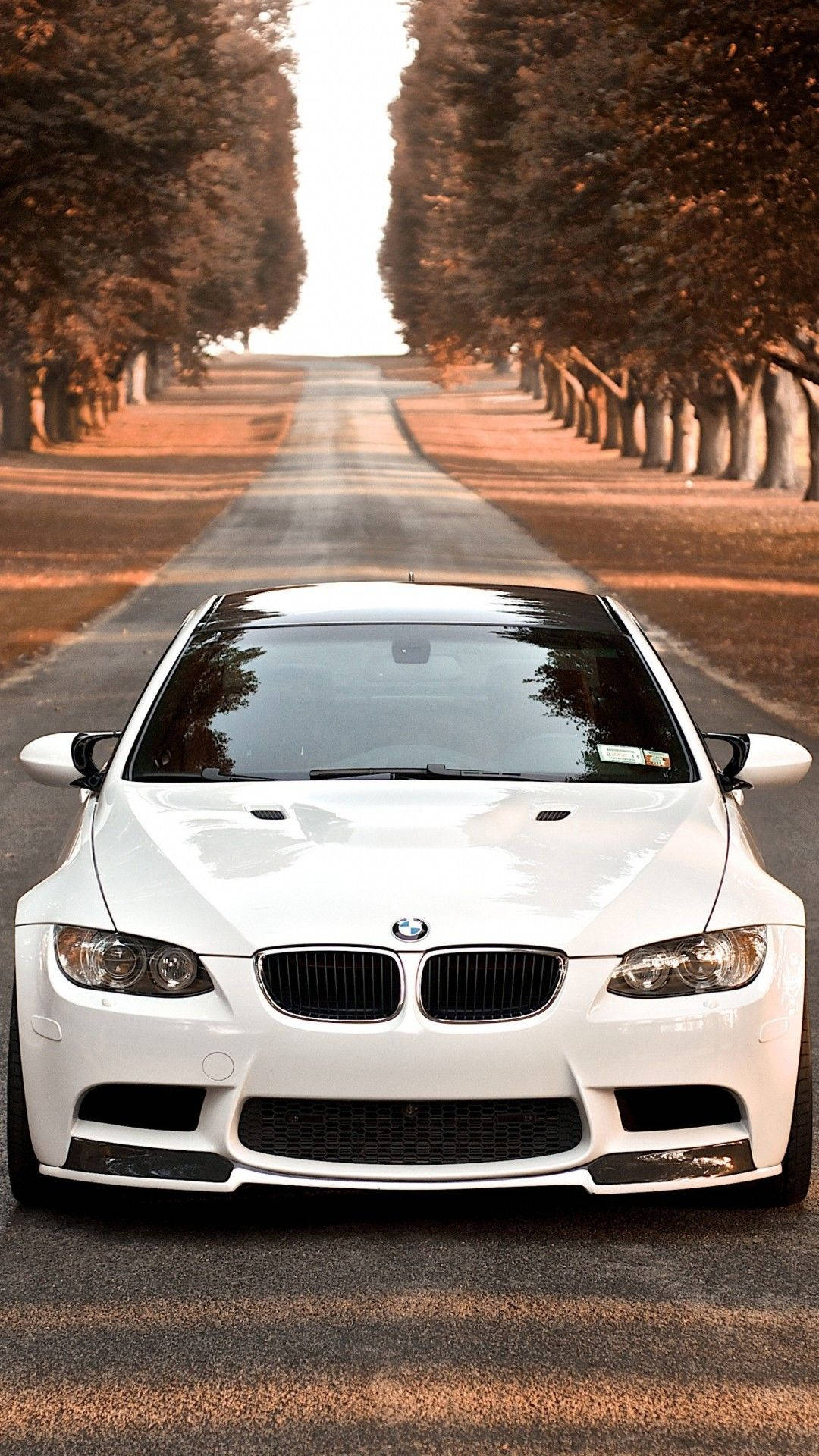 M3 GT2 BMW iPhone X 壁紙 — 一架純白色寶馬跑車喺一條樹蔭大道上向前，沐浴喺溫暖嘅金色光線中。