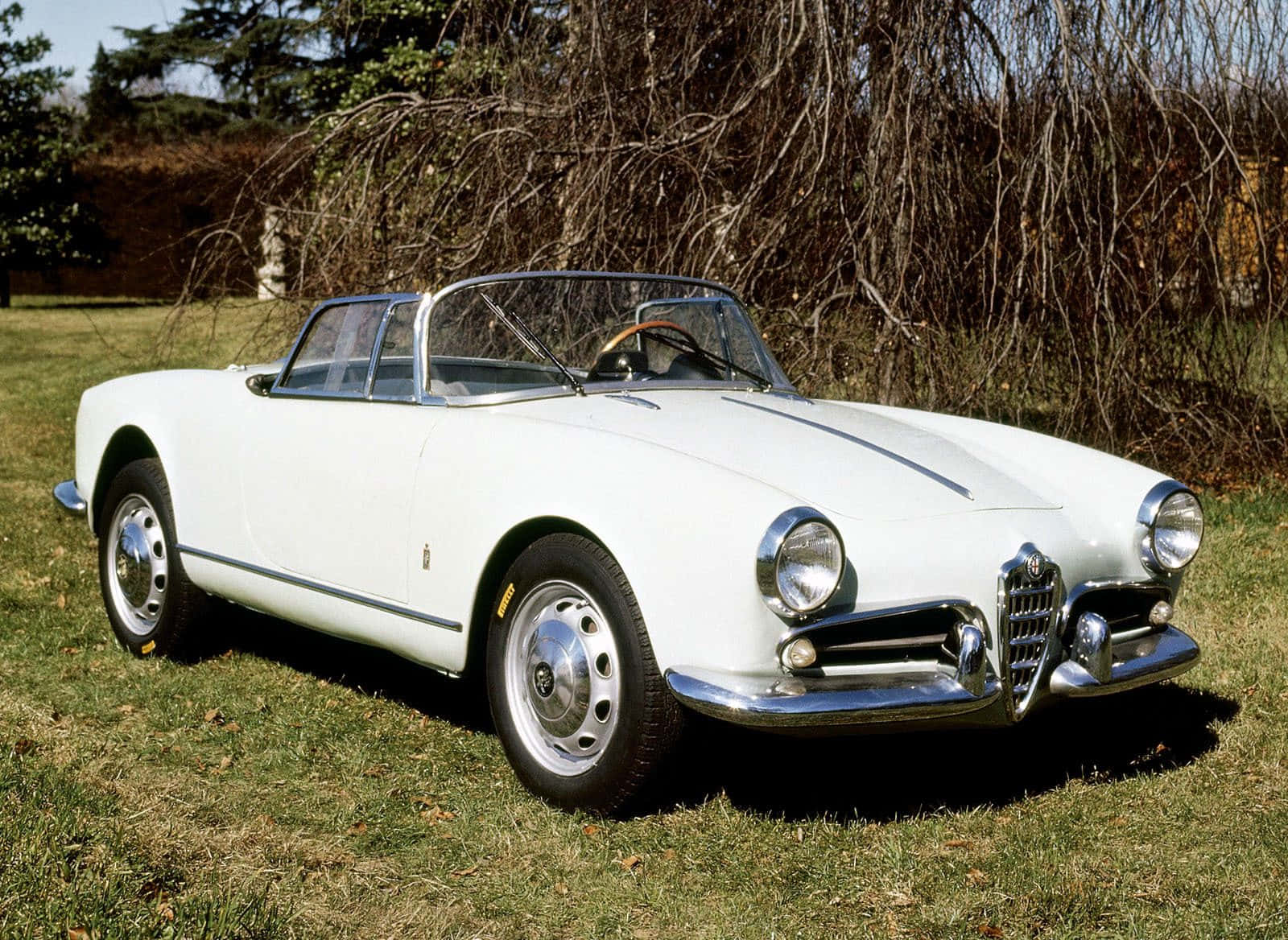 Alfa Romeo Spider 桌布 壁紙 — 一架純白色復古Alfa Romeo Spider開篷車停泊在草地上，背景有光禿禿的樹木。