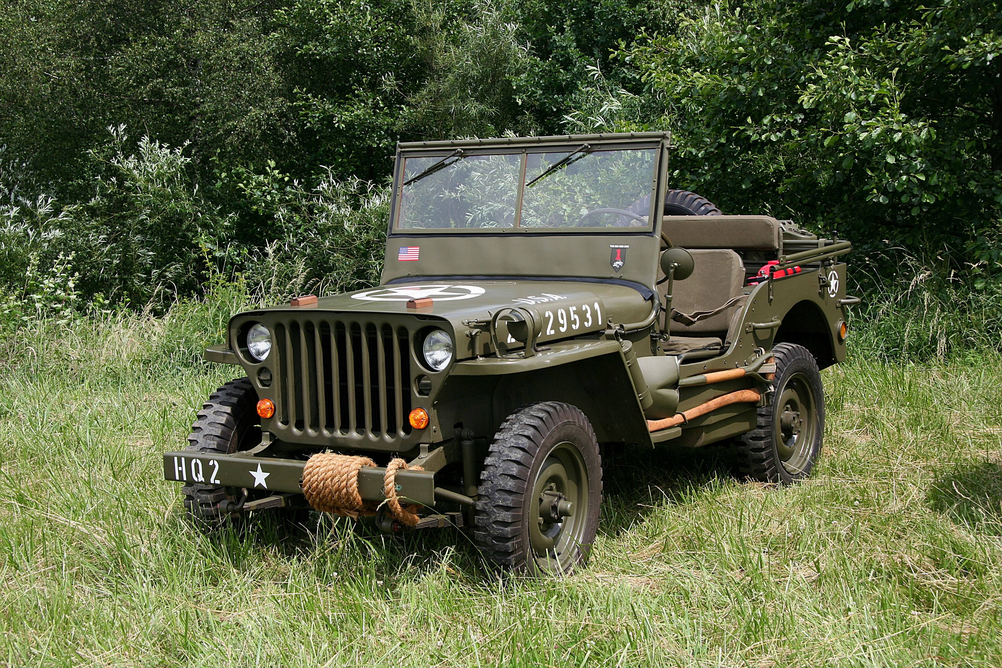 草 桌布 壁紙 — 一架經典橄欖綠色軍用吉普車，車牌號碼29531，停泊在高草叢中，旁邊是茂密的綠色樹葉。