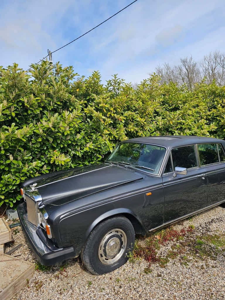 Bentley T2 桌布 壁紙 — 一架經典黑色勞斯萊斯停泊在碎石路上，旁邊是茂密的綠色籬笆，上方是明亮的藍天。