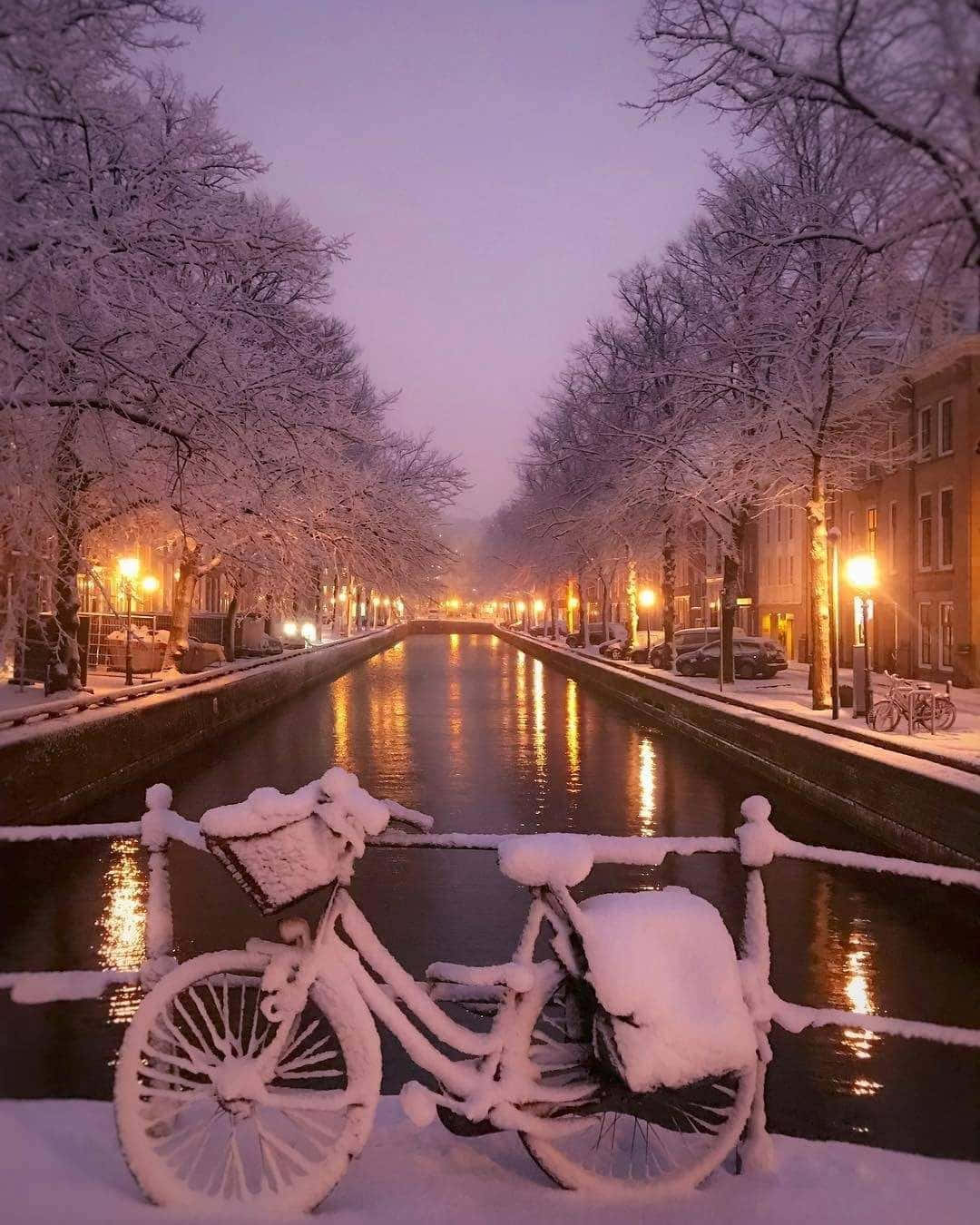 Winter Photography 桌布 壁紙 — 一架被雪覆蓋的單車倚靠在運河旁的欄杆上，在黃昏時分，溫暖的路燈倒映在水面上，光禿禿的樹木排列在小徑兩旁。