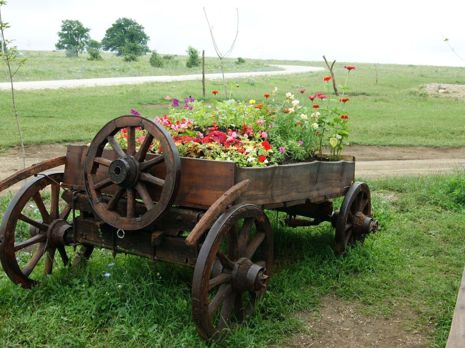 Flower Cart 桌布 壁紙 — 一架質樸的木製手推車，裝滿了鮮豔的紅色、粉紅色和黃色花朵，放在草地上，天空多雲。