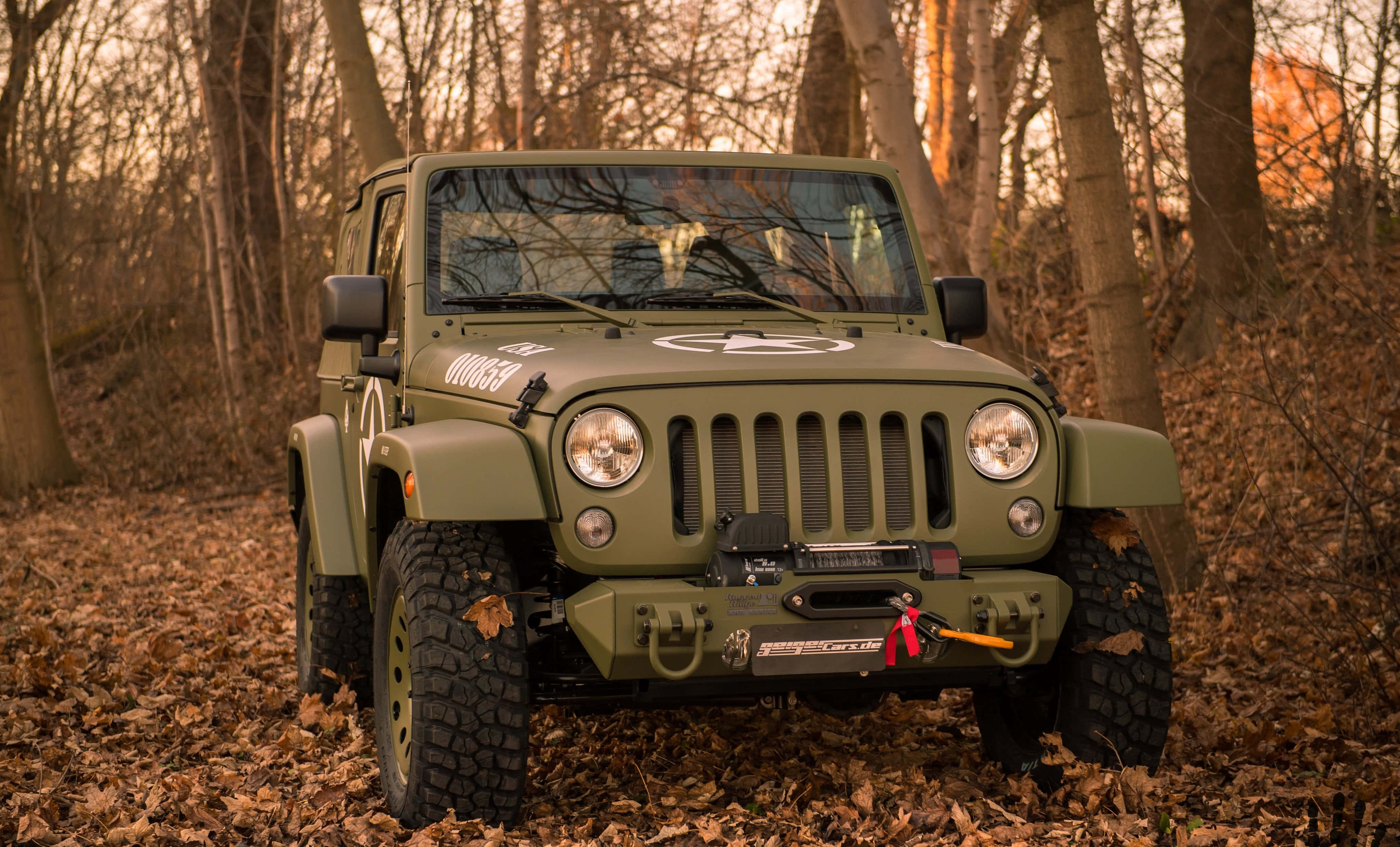 Jeep Willys 桌布 壁紙 — 一架軍綠色Jeep Wrangler停泊在鋪滿秋日落葉的森林中，沐浴在溫暖的金色光線下。