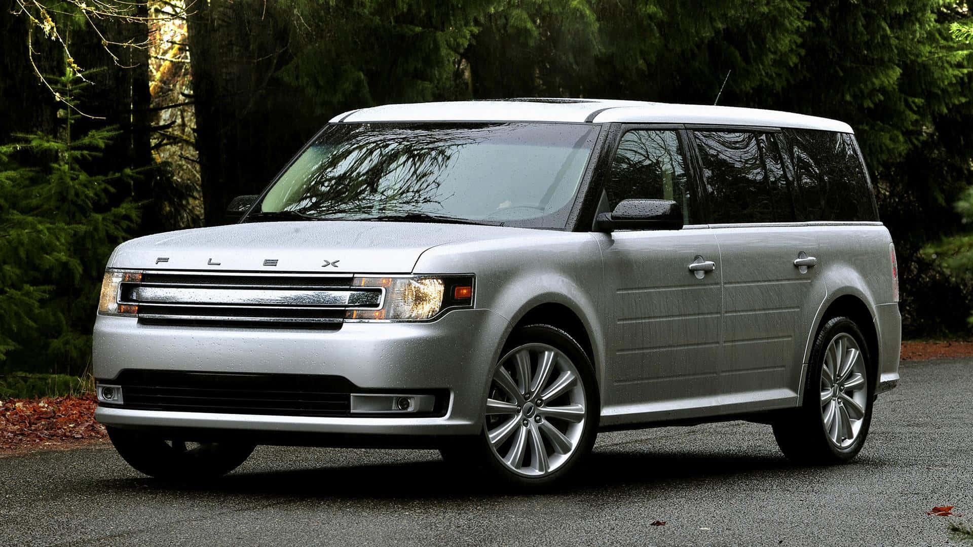 Ford Flex 桌布 壁紙 — 一架銀色福特Flex SUV停泊在碎石路上，周圍是茂密的綠色森林，地上有落葉。