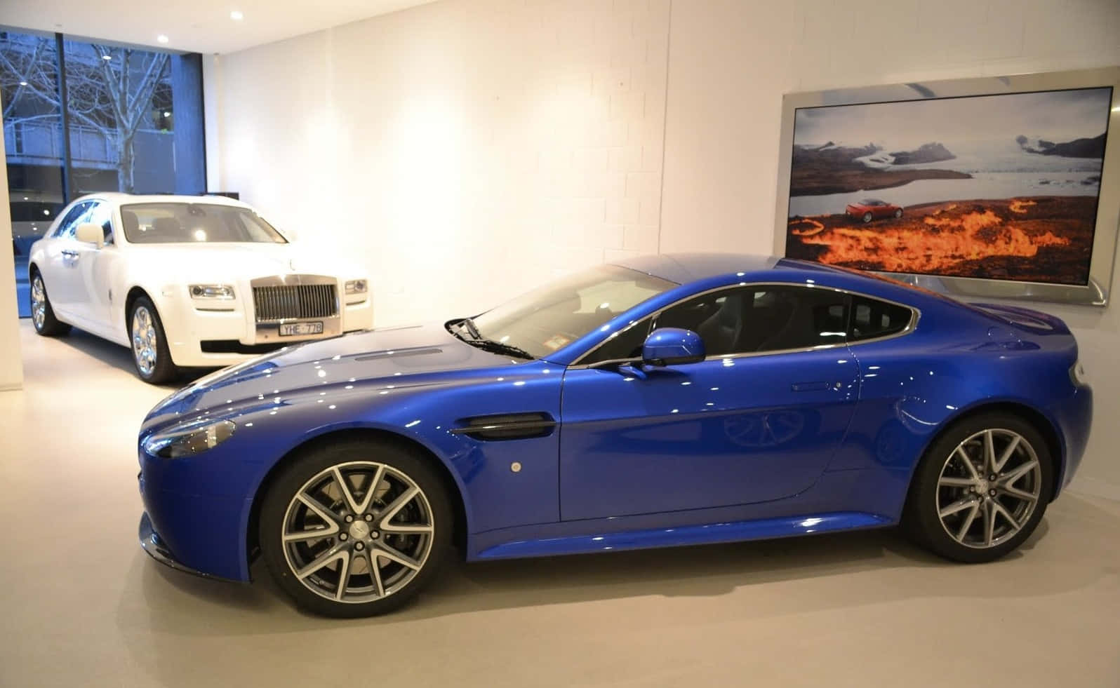 Cobalt Blue 桌布 壁紙 — 一架閃亮的藍色 Aston Martin 跑車在一間極簡奢華的陳列室中，旁邊是一輛白色 Rolls Royce，陳列室有大窗戶和風景牆藝術。