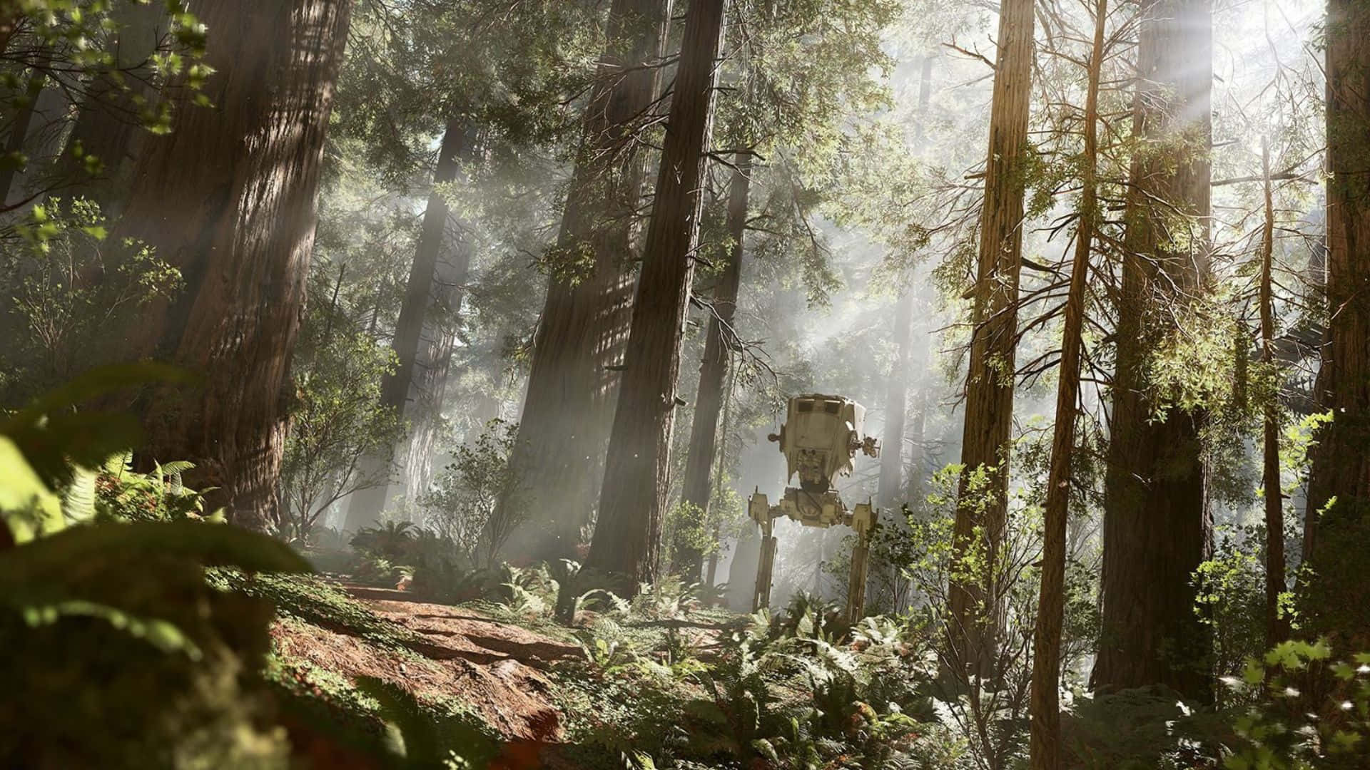 Endor 桌布 壁紙 — 一架風化的AT-ST步行者聳立在參天紅杉林中，金色陽光穿過迷霧籠罩的樹冠。